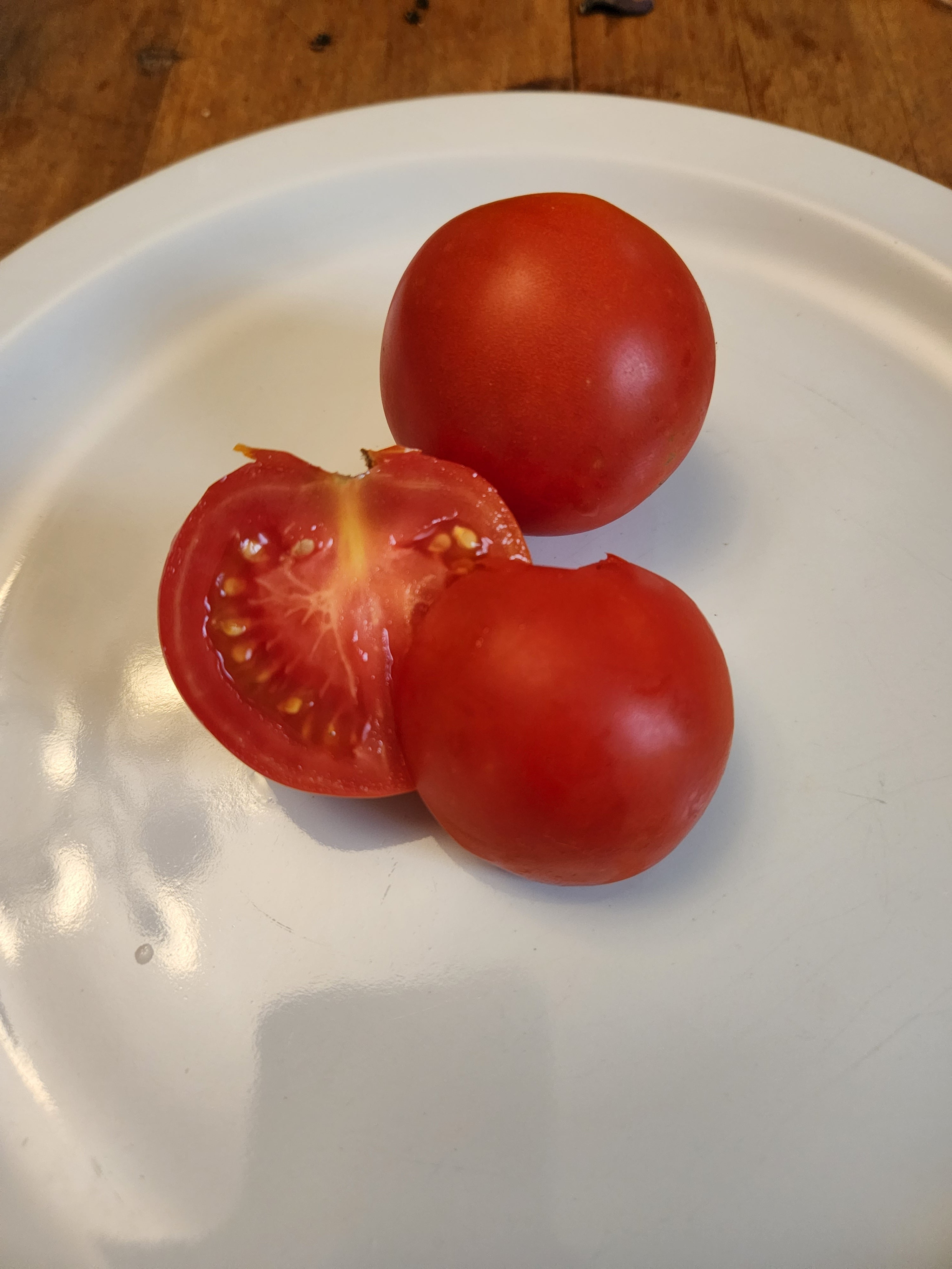 Sieger Disease Resistant Red Saladette Tomato