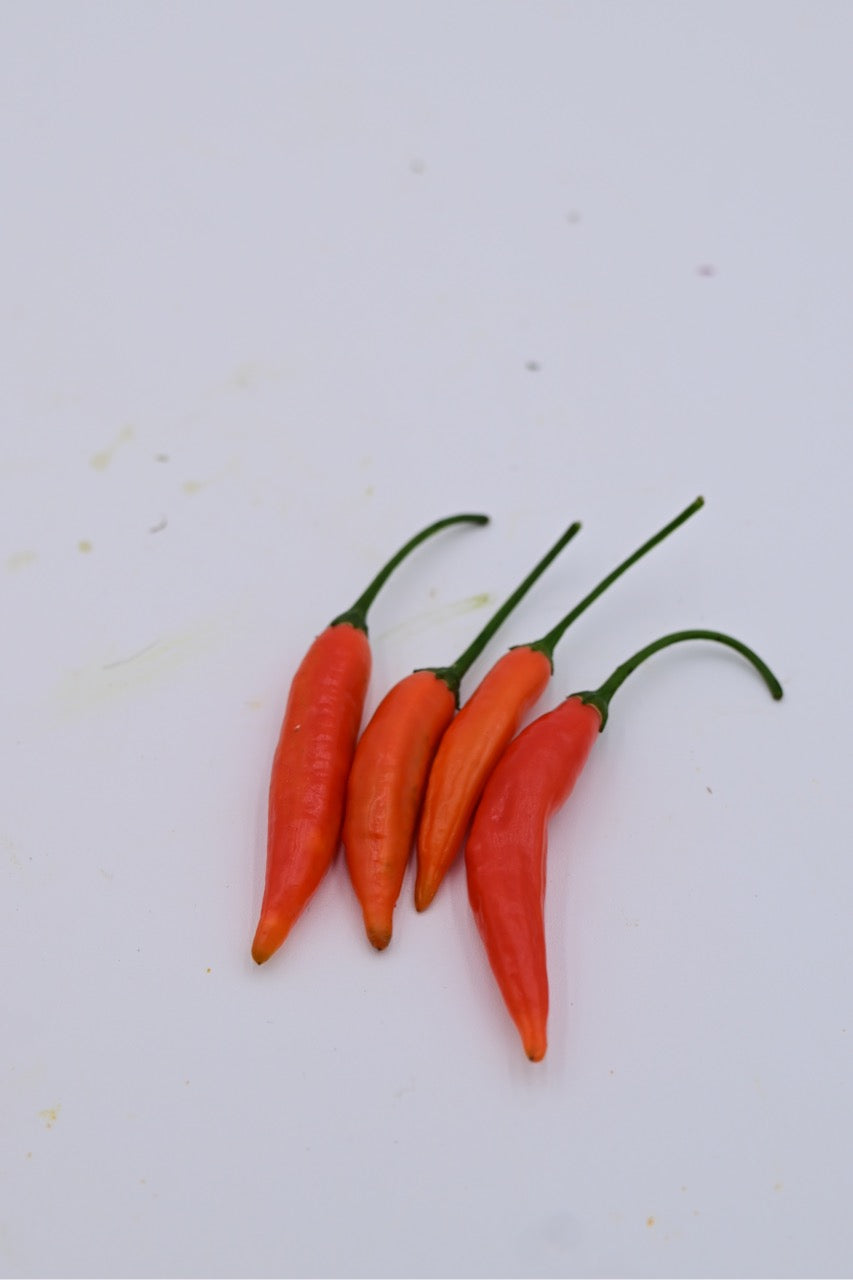 Aji Bruja Hot Pepper - Organic