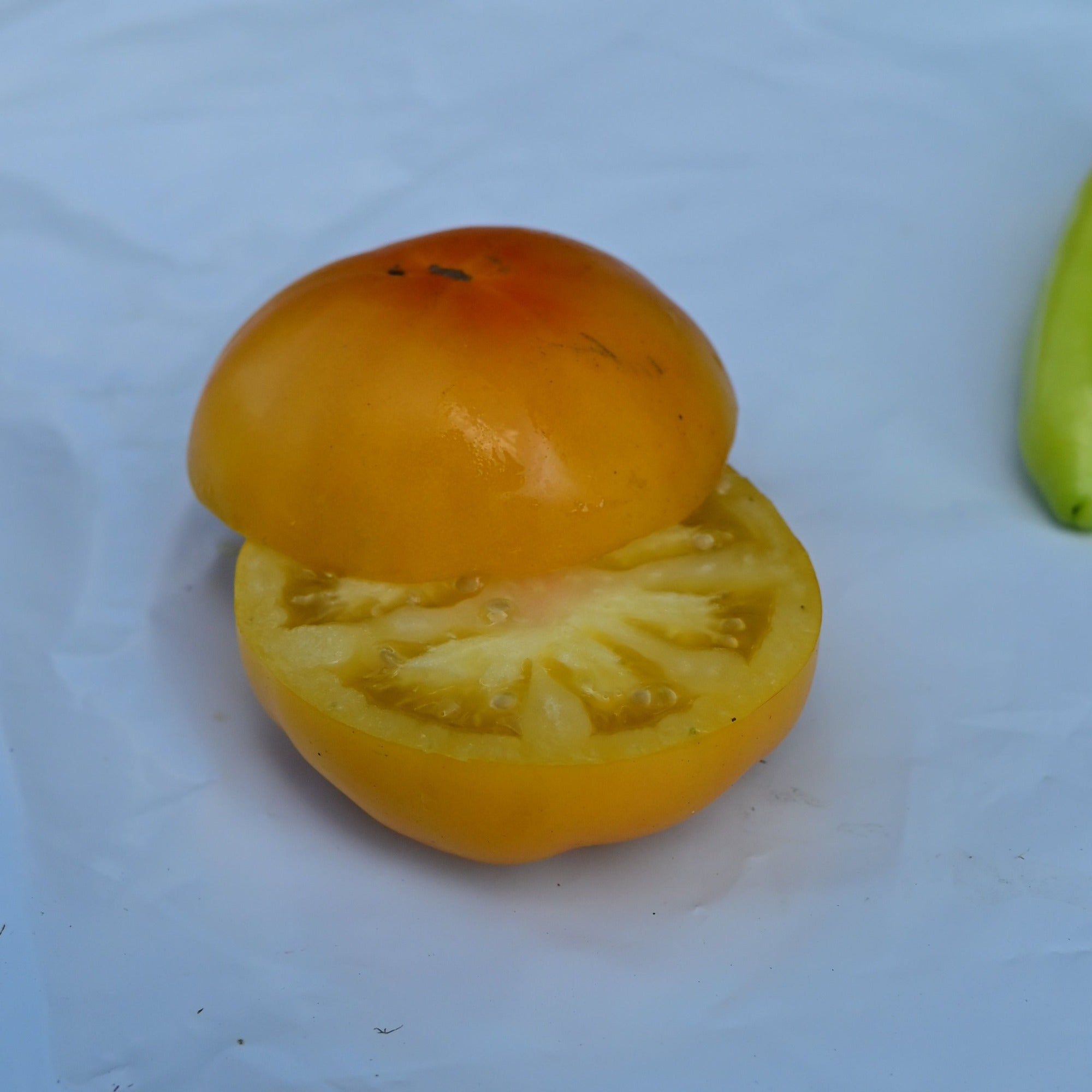 Azoychka Yellow Slicer Heirloom Tomato - Organic