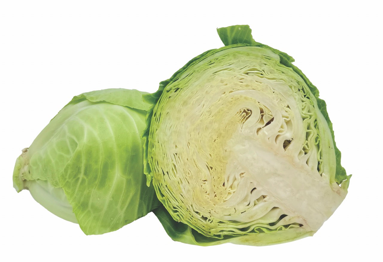 Dottenfelder Green Sauerkraut Storage Cabbage - Organic