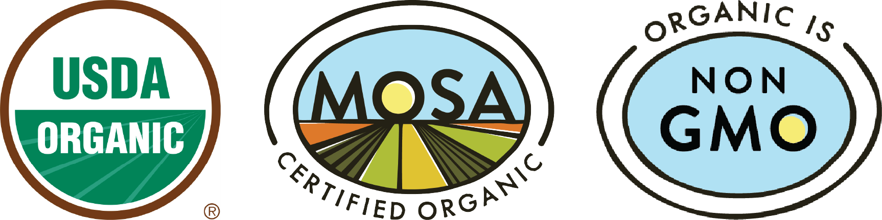 Honey Boat Extra Sweet Delicata - Organic