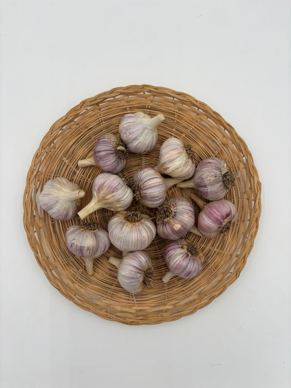 Chesnok Red Striped Organic Garlic