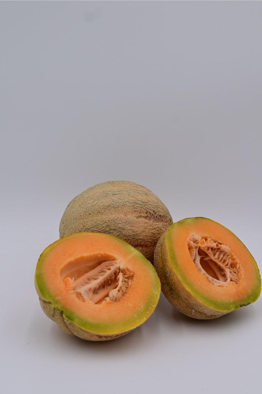 PMR Delicious 51 Disease Resistant Heirloom Cantaloupe - Organic