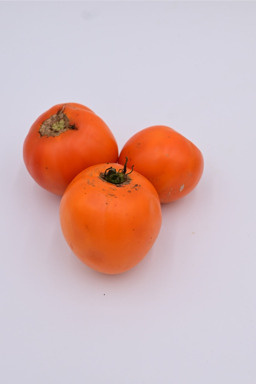 Valencia Orange Heirloom Slicer Tomato - Organic