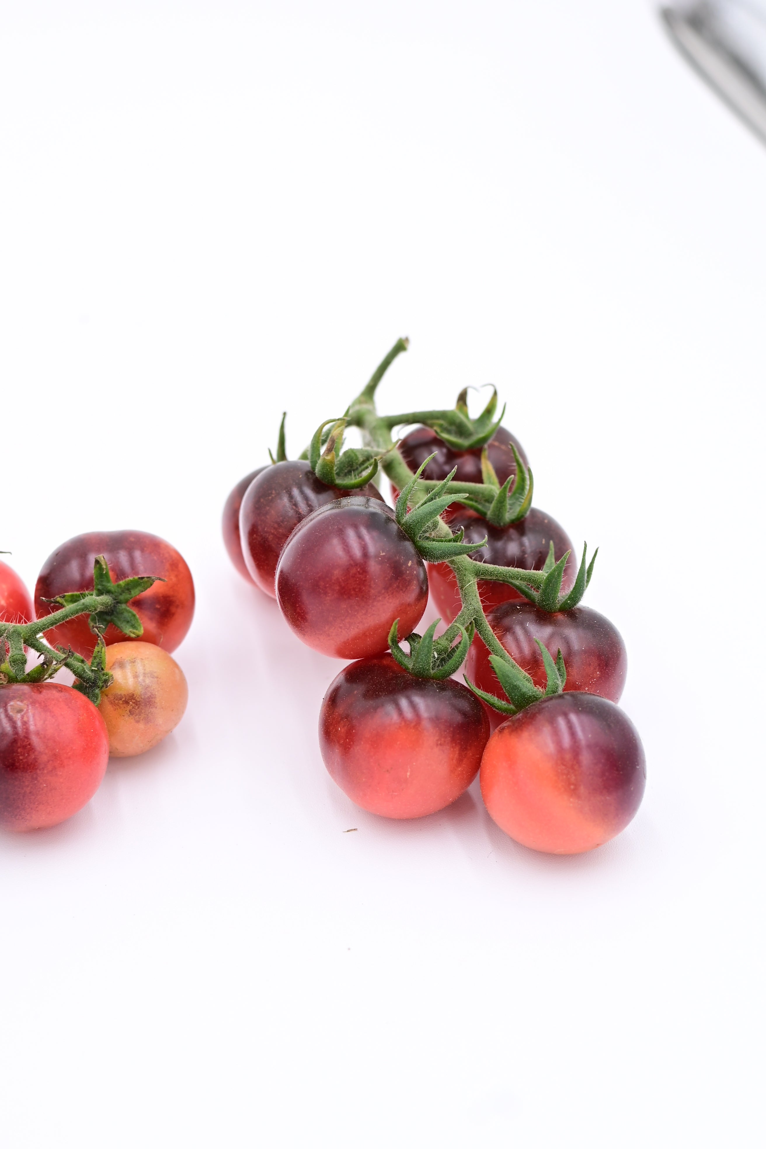 Perfection In Pink Indeterminate Cherry Tomato - Organic