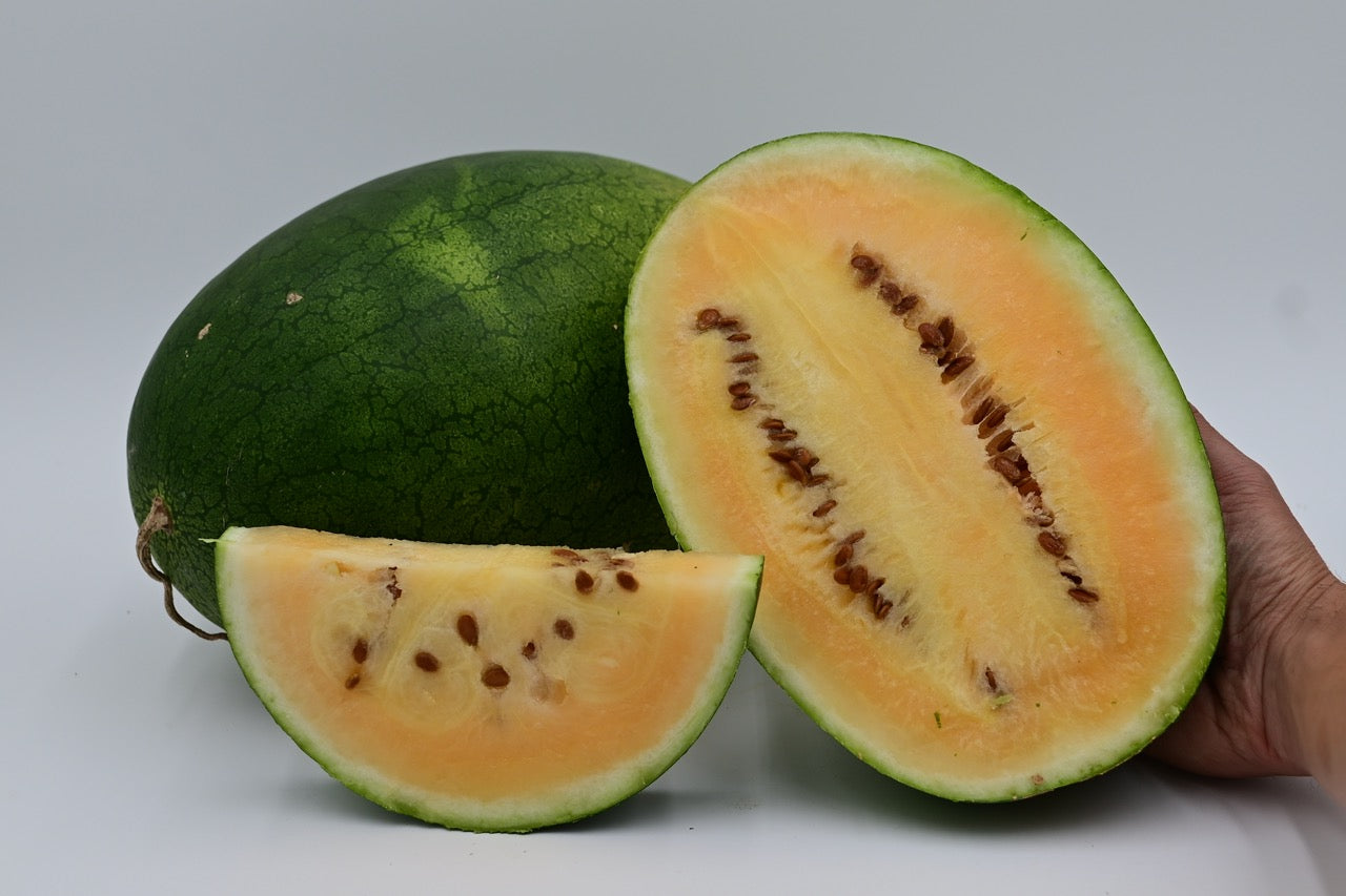 Sweet Siberian Heirloom Orange Watermelon - Organic