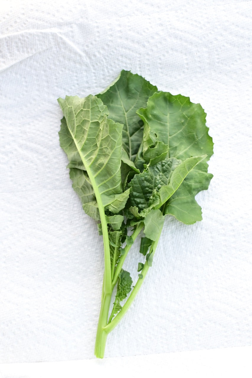 Ethiopian Blue Kale Mild Mustard Green - Organic