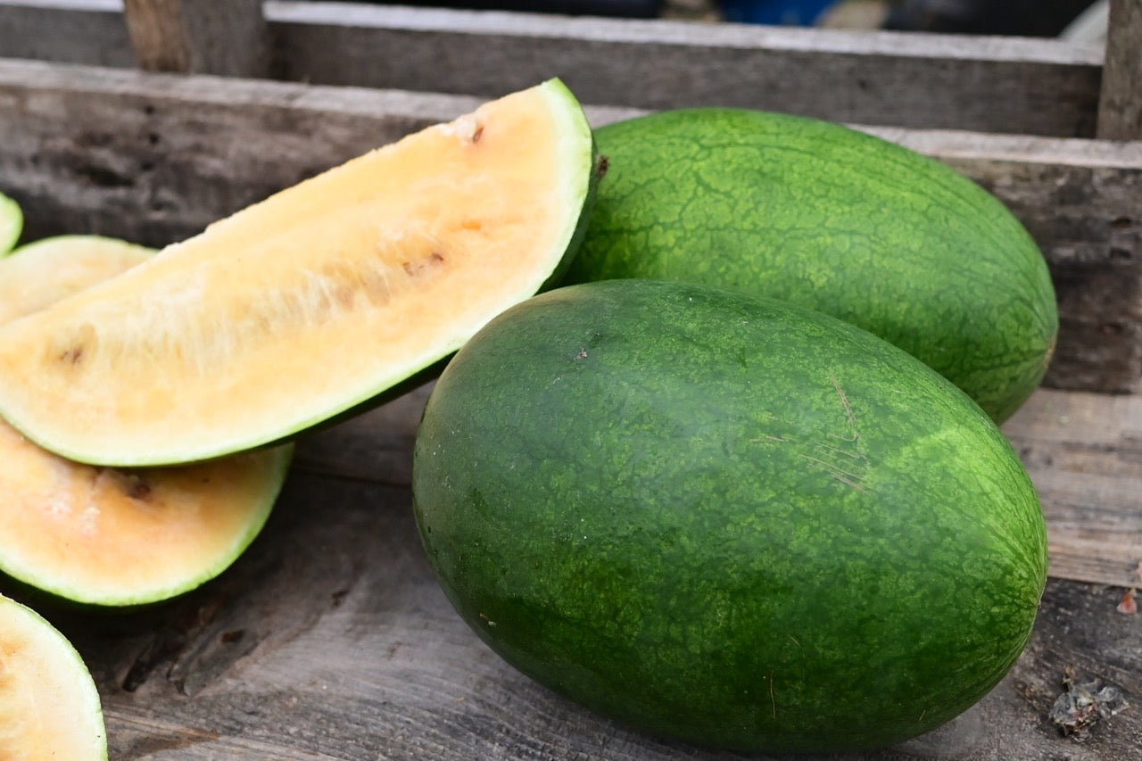 Sweet Siberian Heirloom Orange Watermelon - Organic