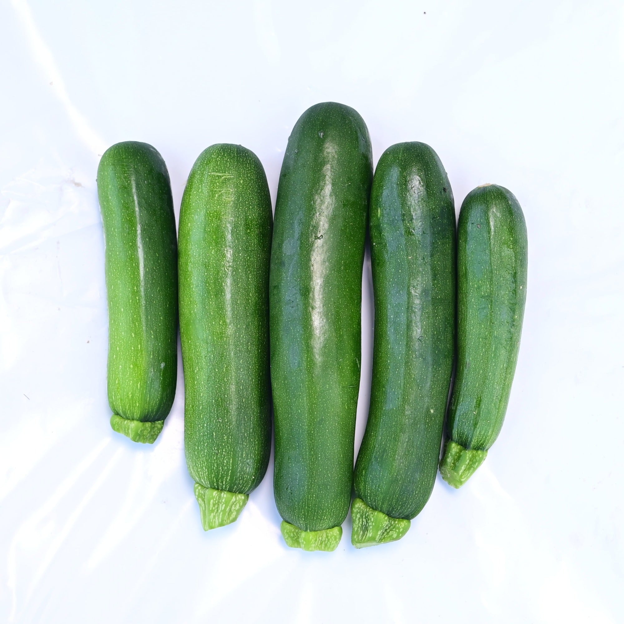 Dark Star Green Zucchini