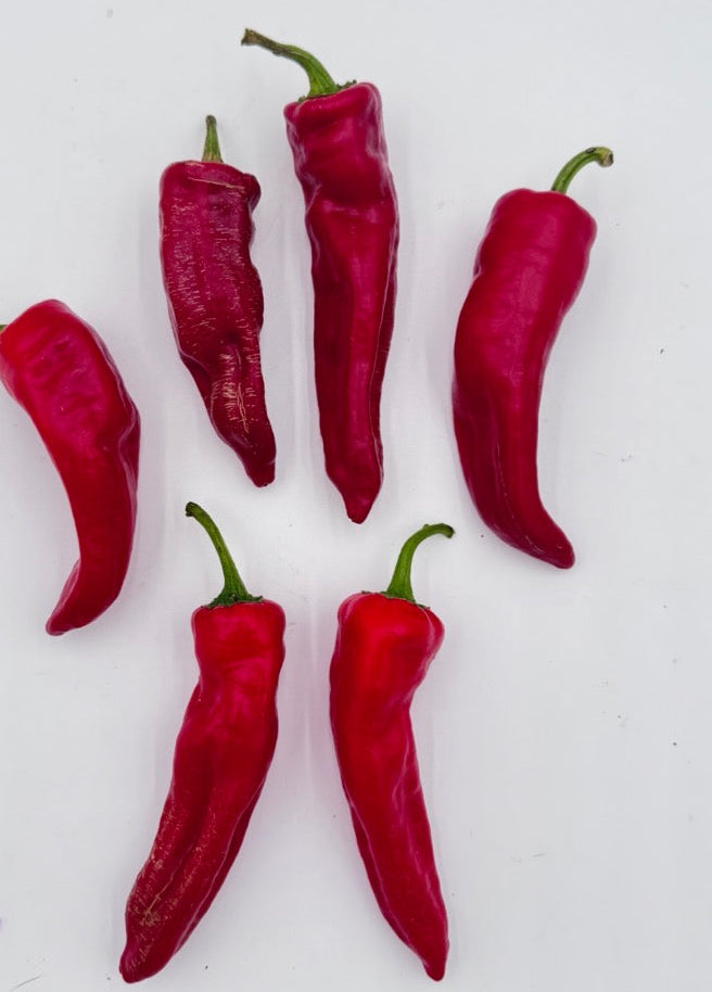 Georgia Flame Hot Pepper - Organic