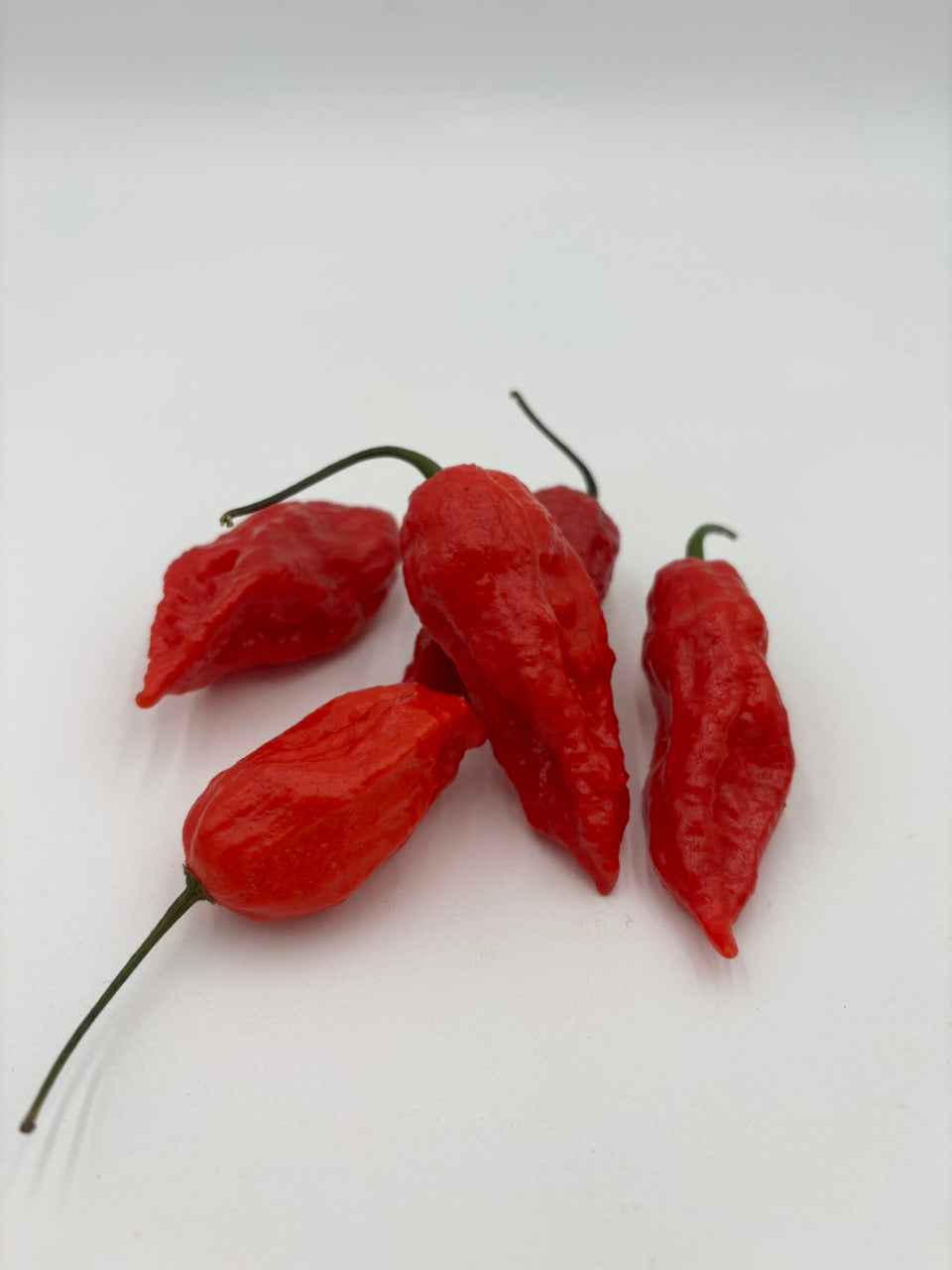 Ghost Pepper AKA Bhut Jolokia Superhot Pepper - Organic