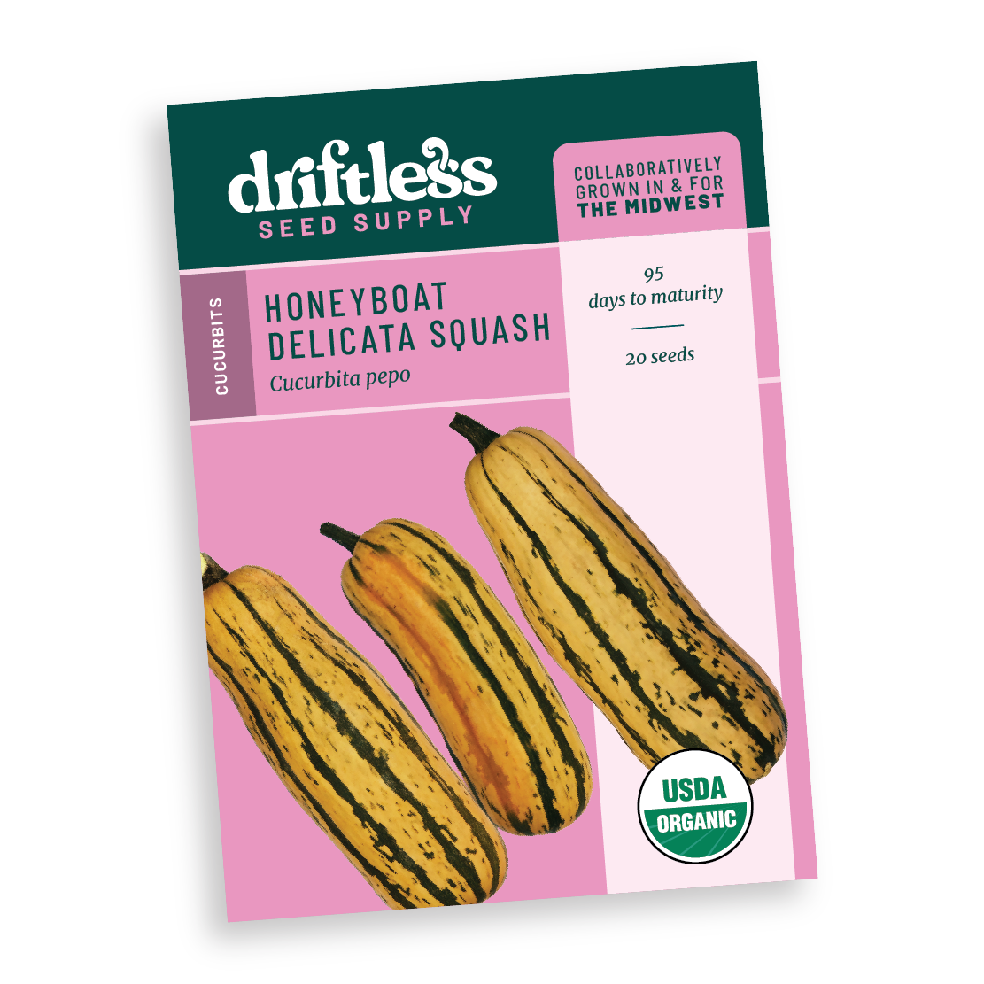 Honey Boat Extra Sweet Delicata - Organic