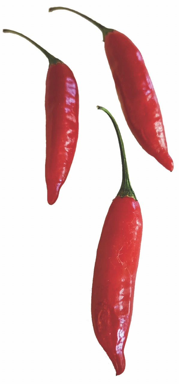 Aji Bruja Hot Pepper - Organic