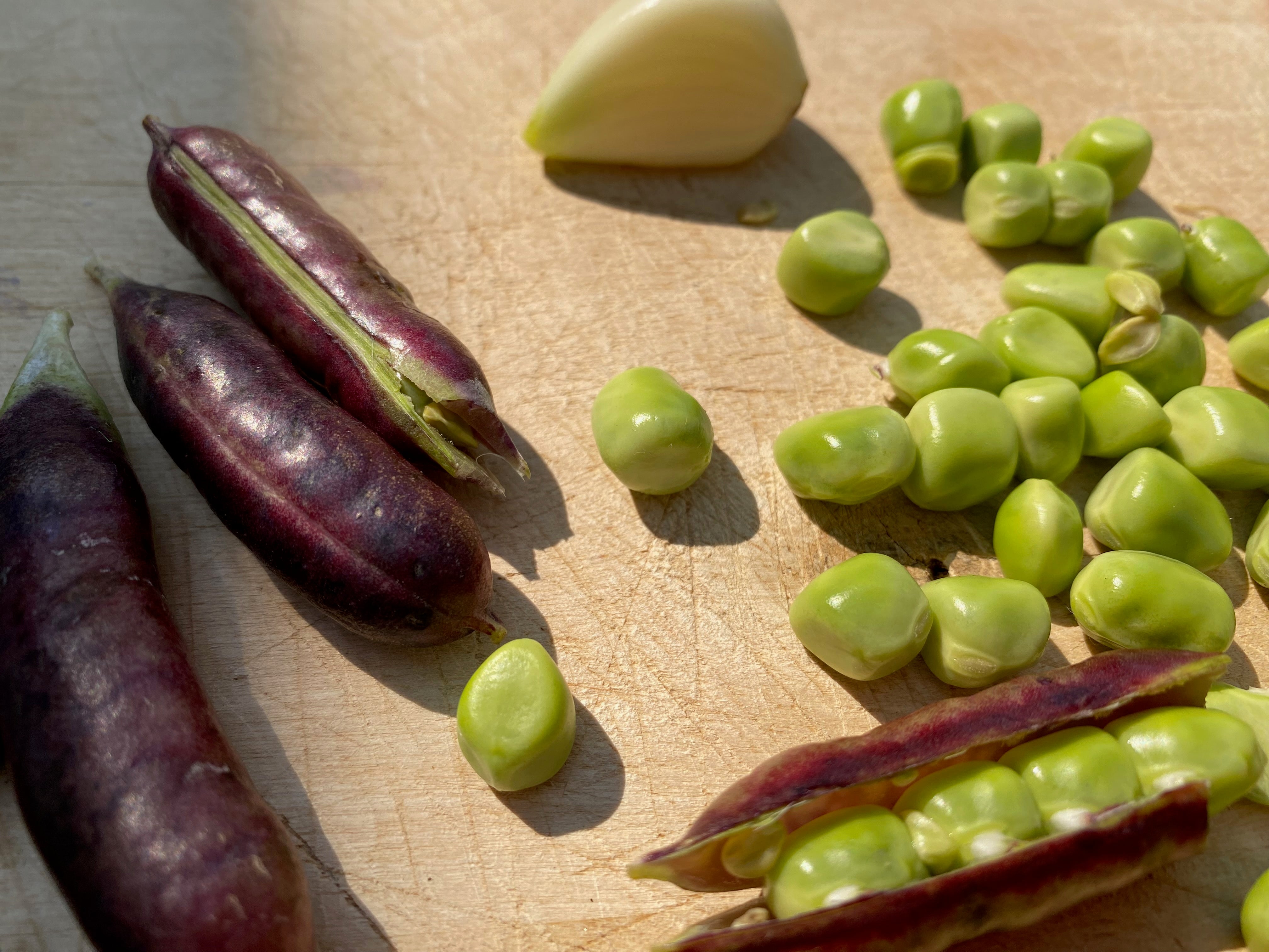 Sugar Magnolia Purple Snap Pea