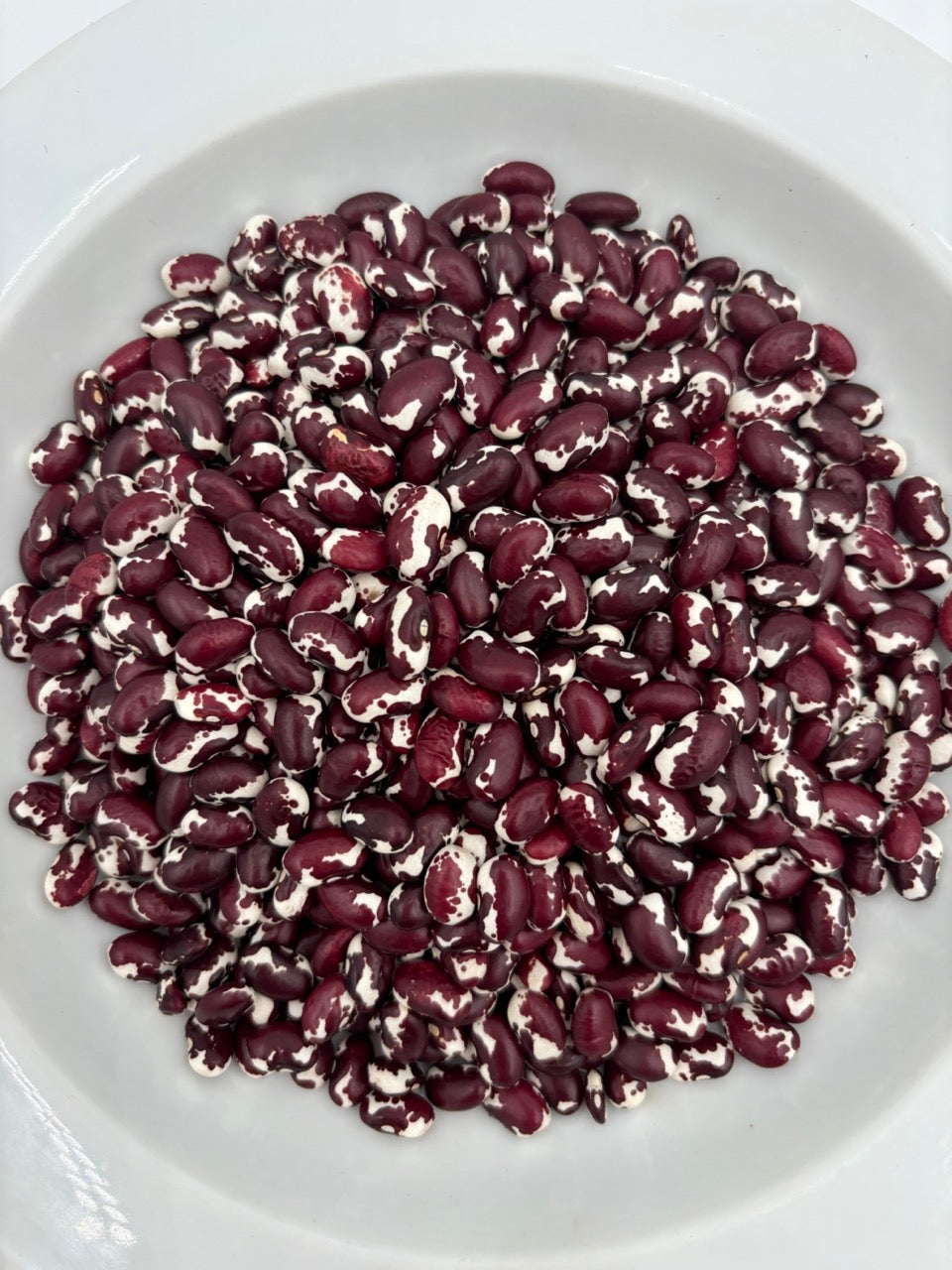 UC Southwest Red Disease Resistant Dry Bean