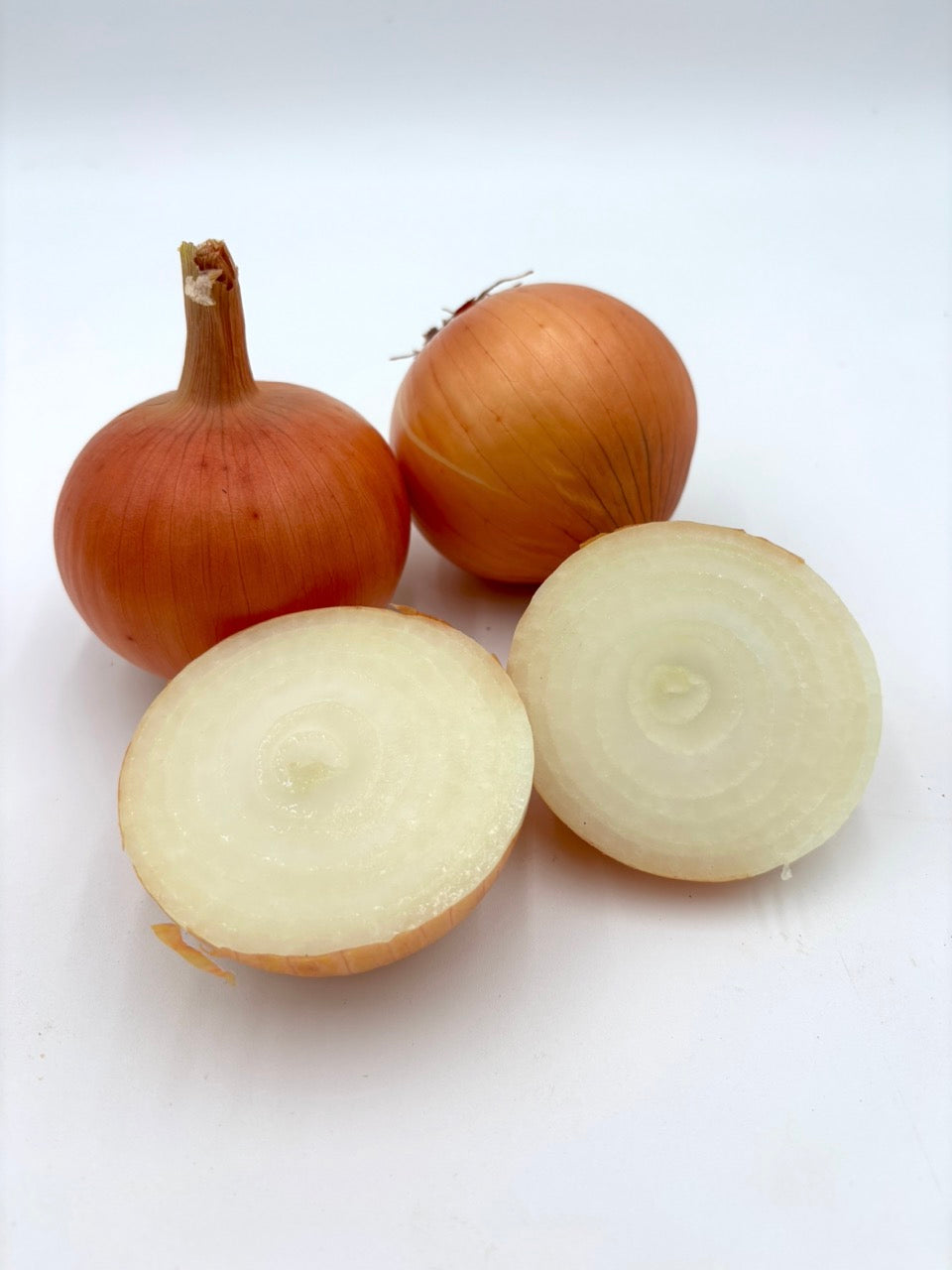 Newburg Yellow Storage Onion - Organic