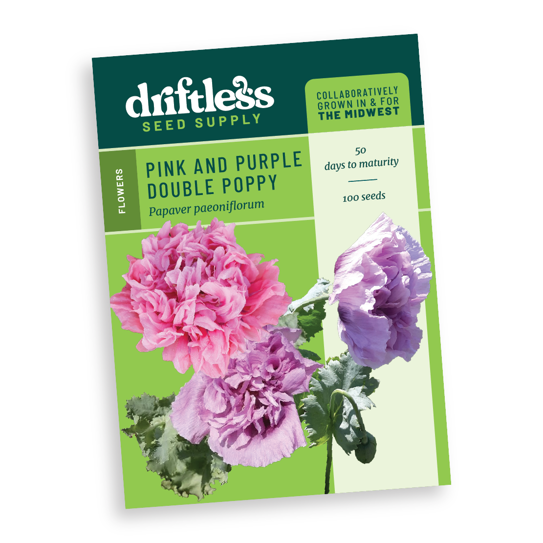 pink poppy flower seeds Pink and Purple Double Poppy Packet
