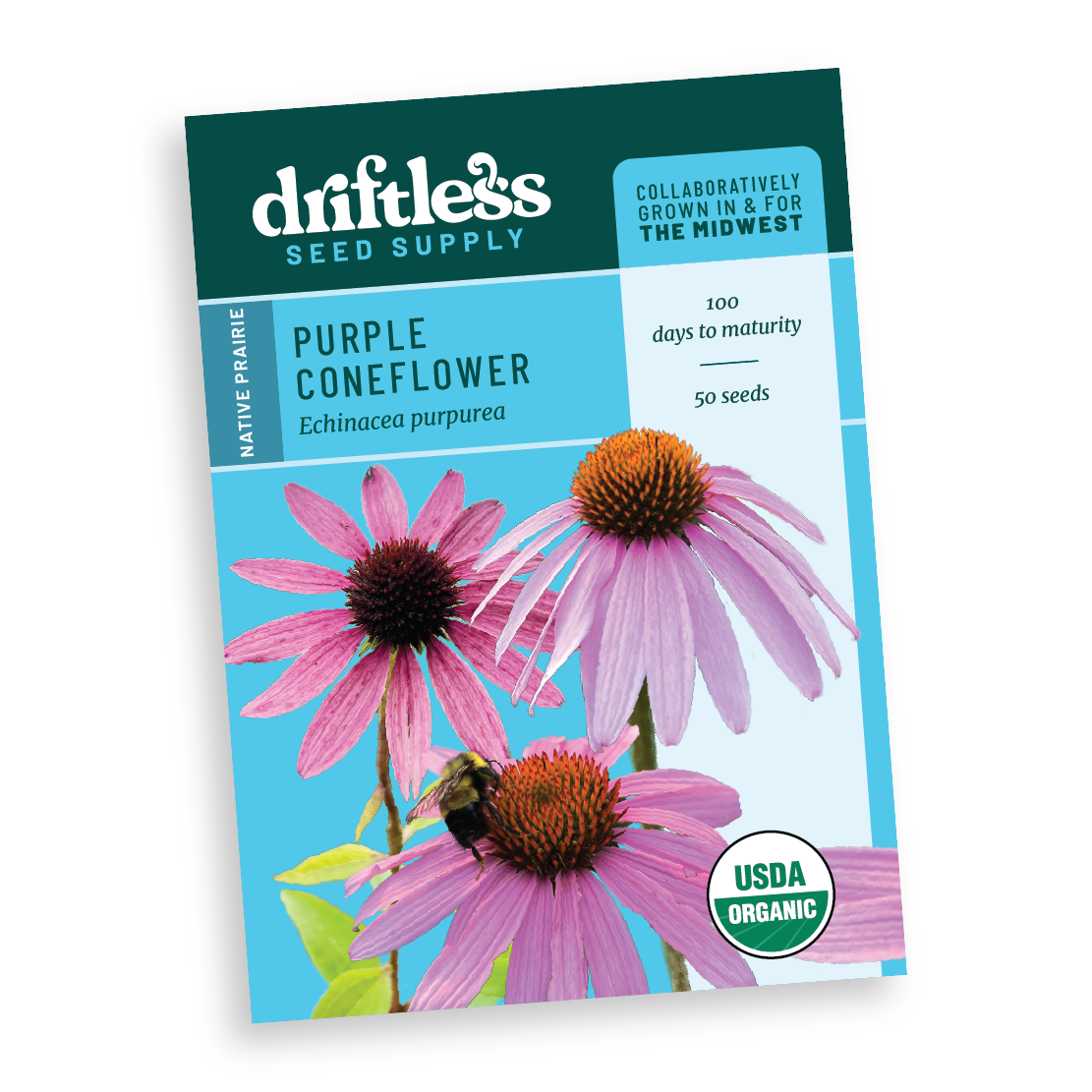 Purple Coneflower Echinacea Native Forb - Organic