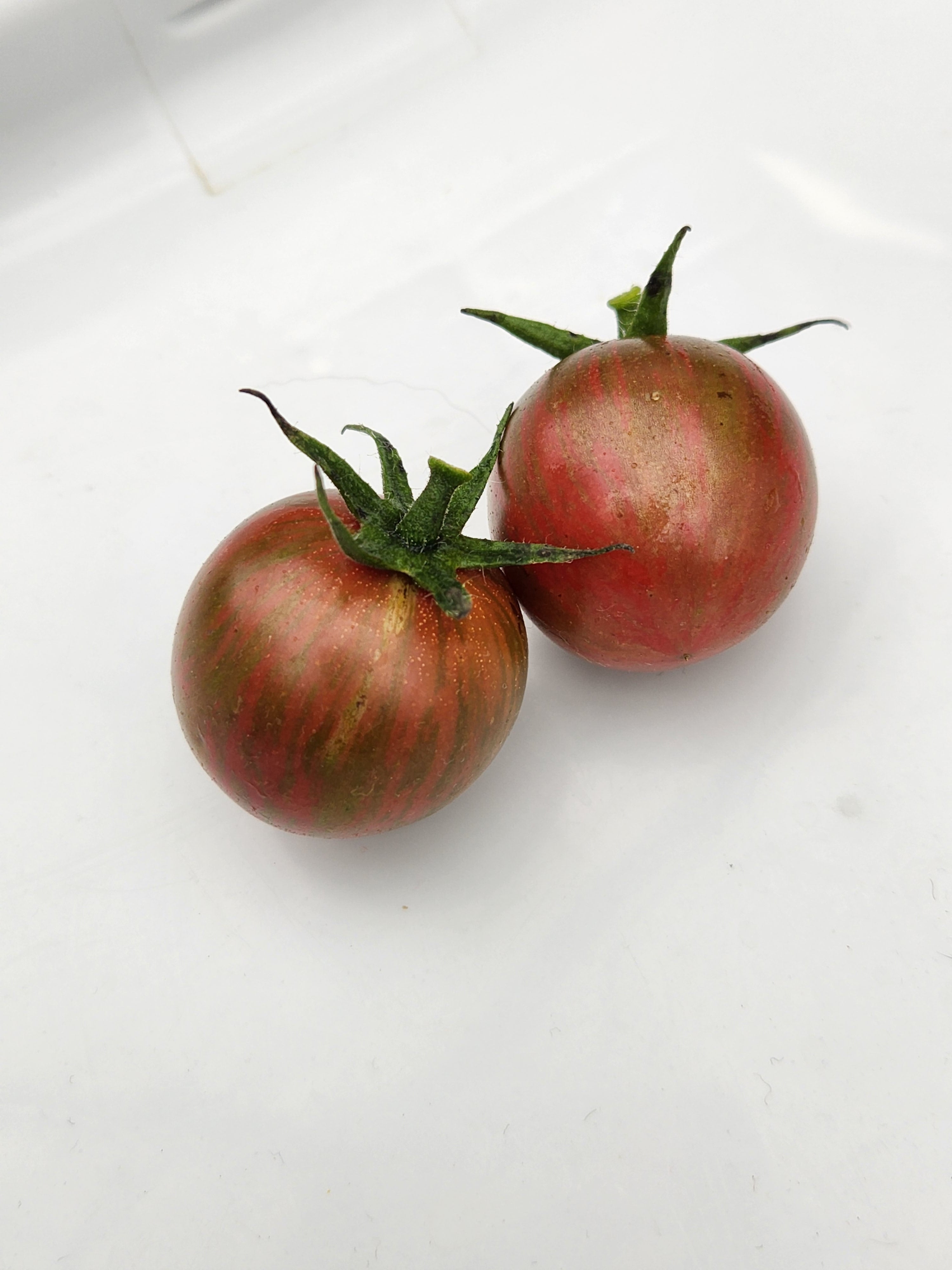 Cherry tomatoes on a white background.