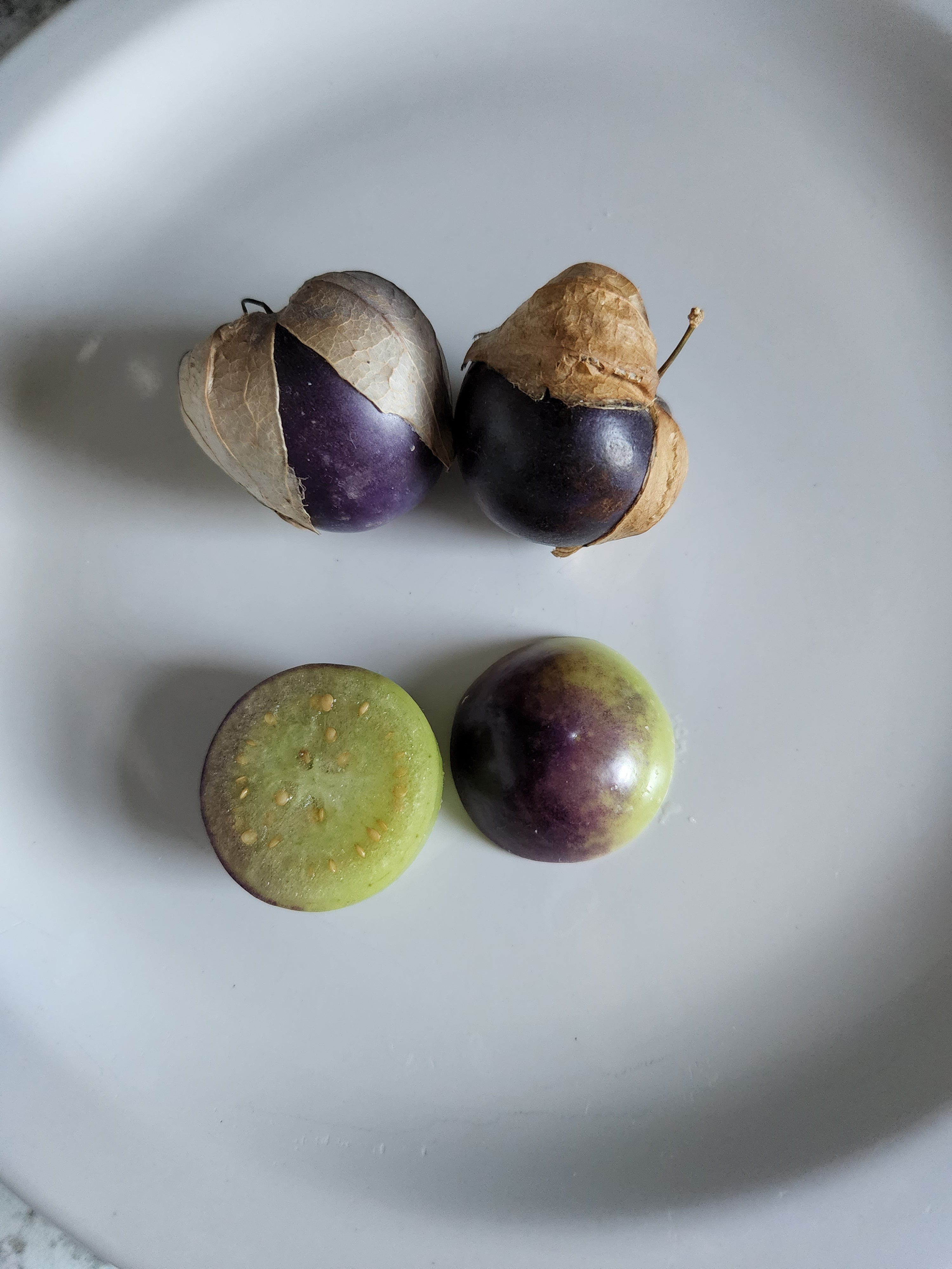 Purple di Milpa Tomatillo
