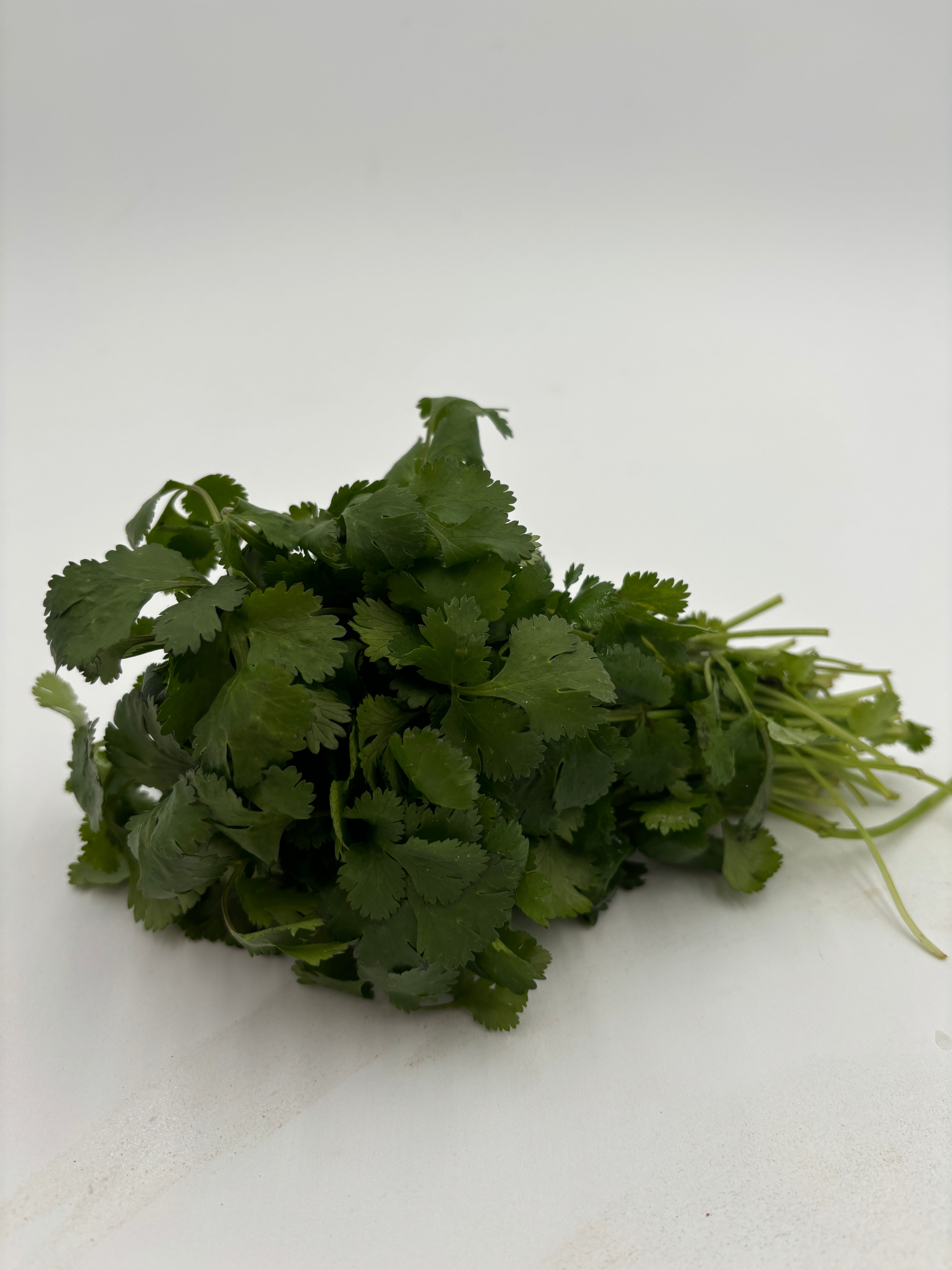 A bunch of green cilantro against a white background