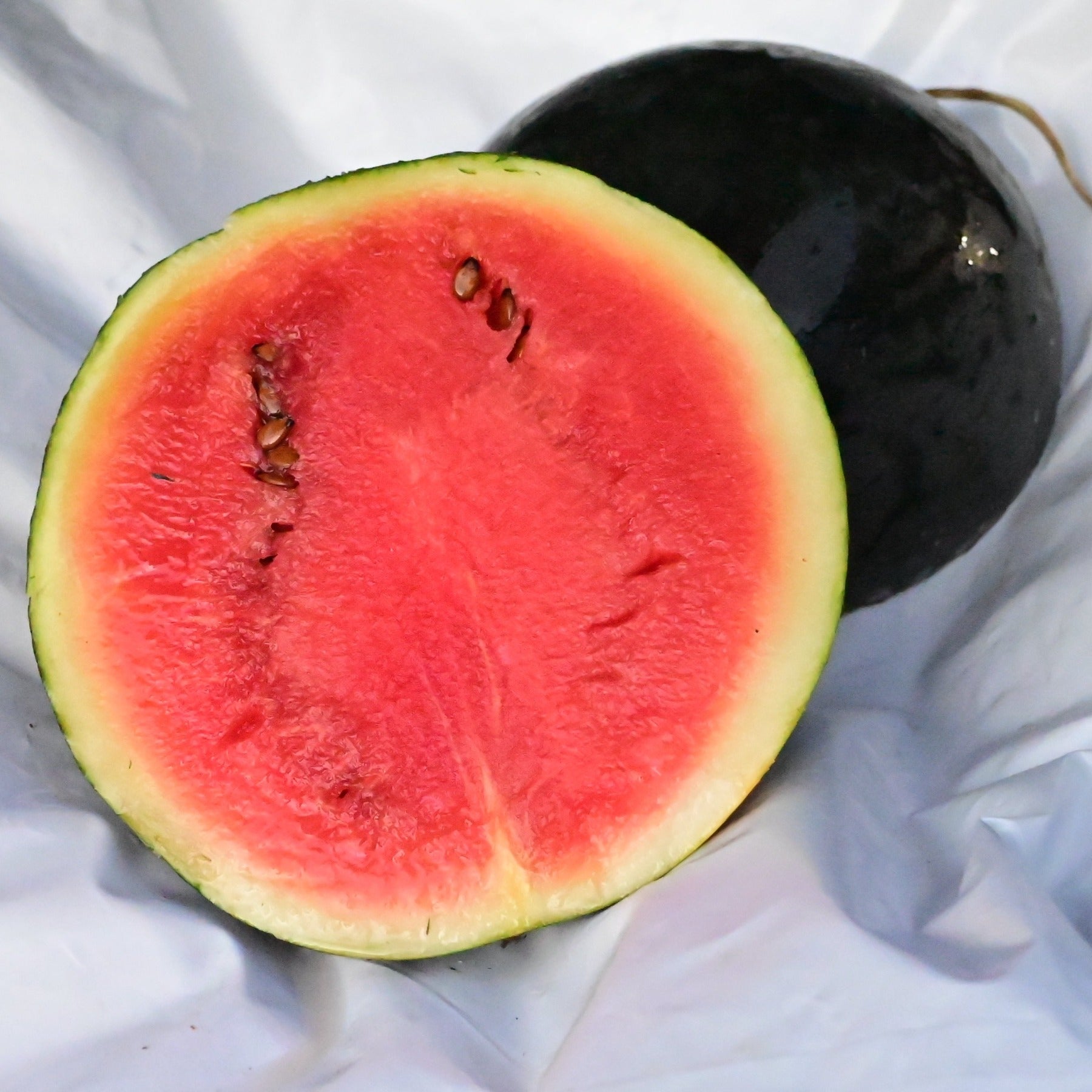 Sugar Baby Premium Heirloom Red Seeded Watermelon Packet - 15 seeds Sugar Baby Premium Heirloom Red Seeded Watermelon Packet - 15 seeds