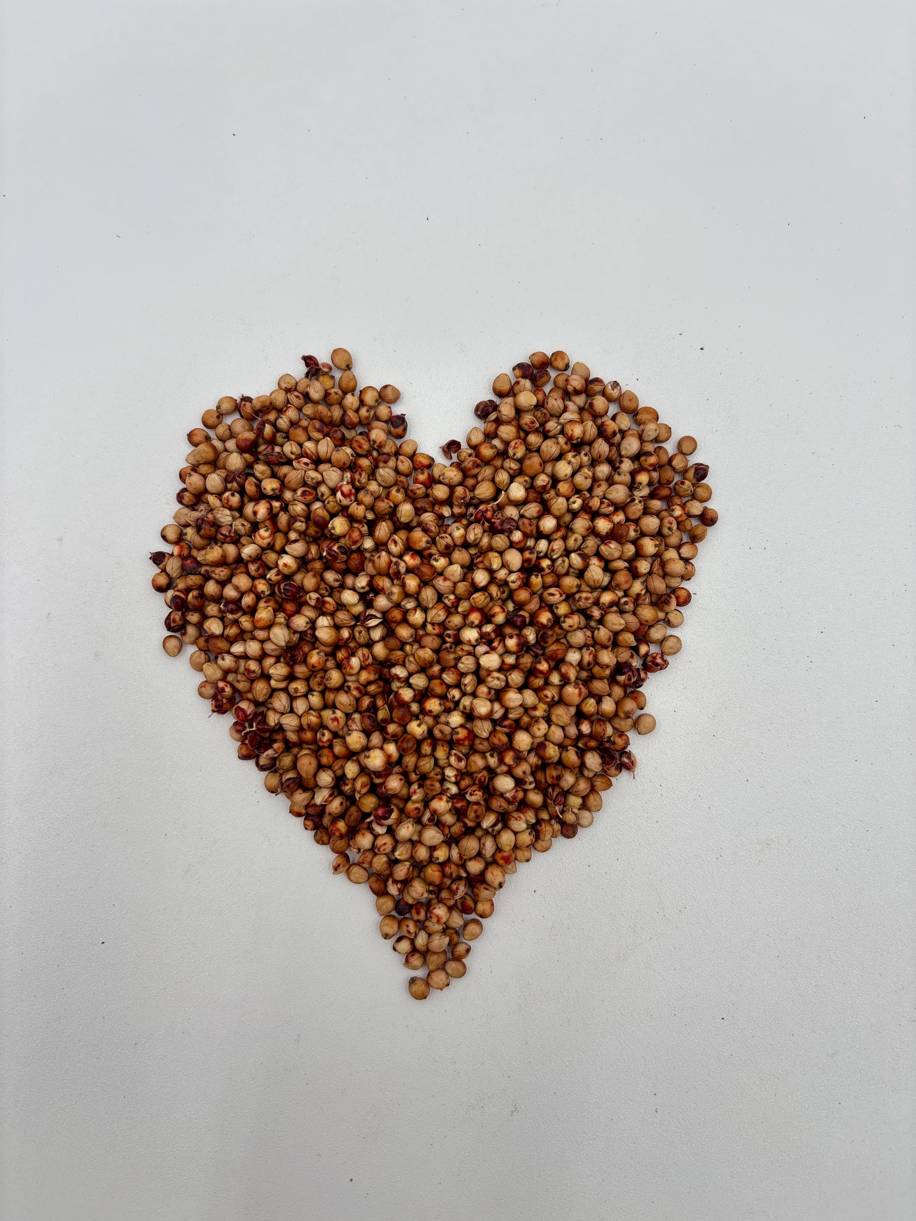 Cereal Sugar Drip Sweet Sorghum - Organic