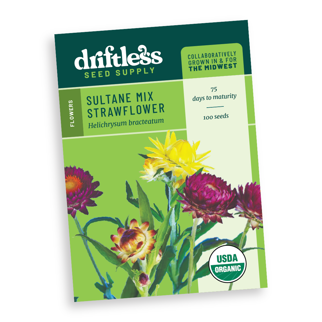 Sultane Mix Strawflowers - Organic