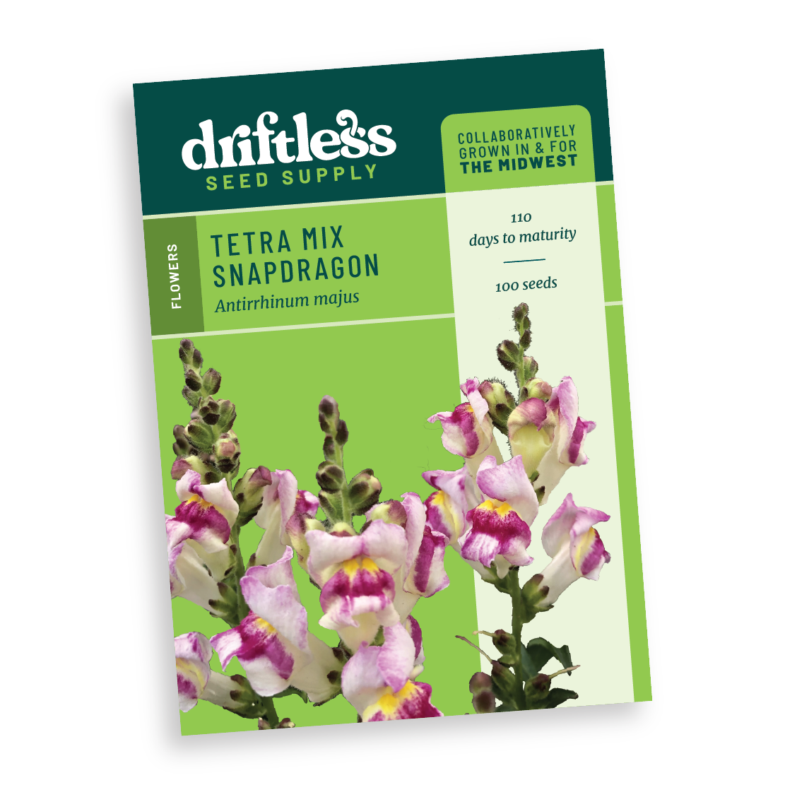 Tetra Snapdragon Mix