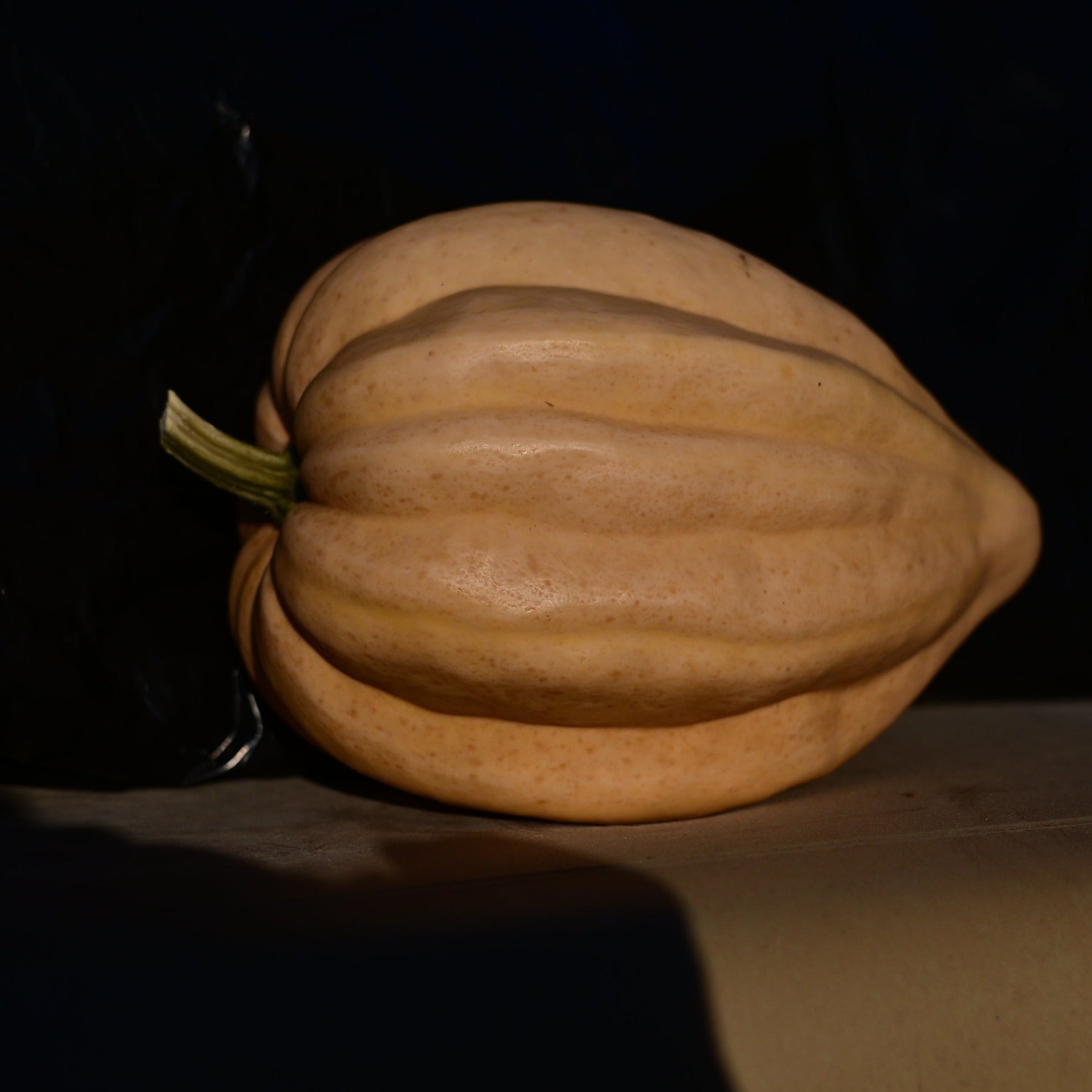 Thelma Sanders winter squash sitting on bench