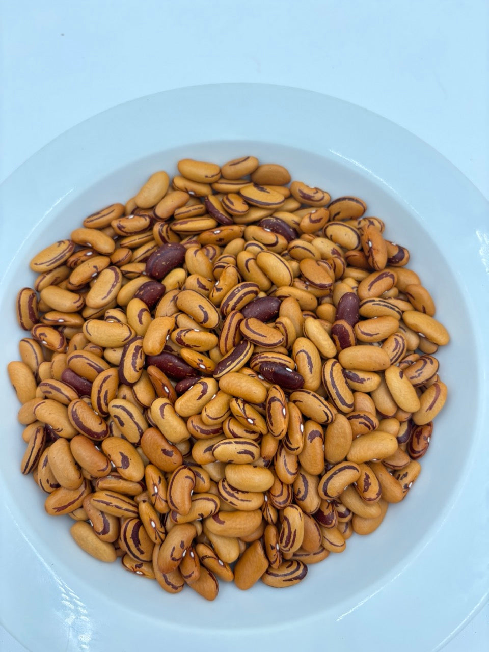 Orange and red striped beans in a white bowl with a white background.