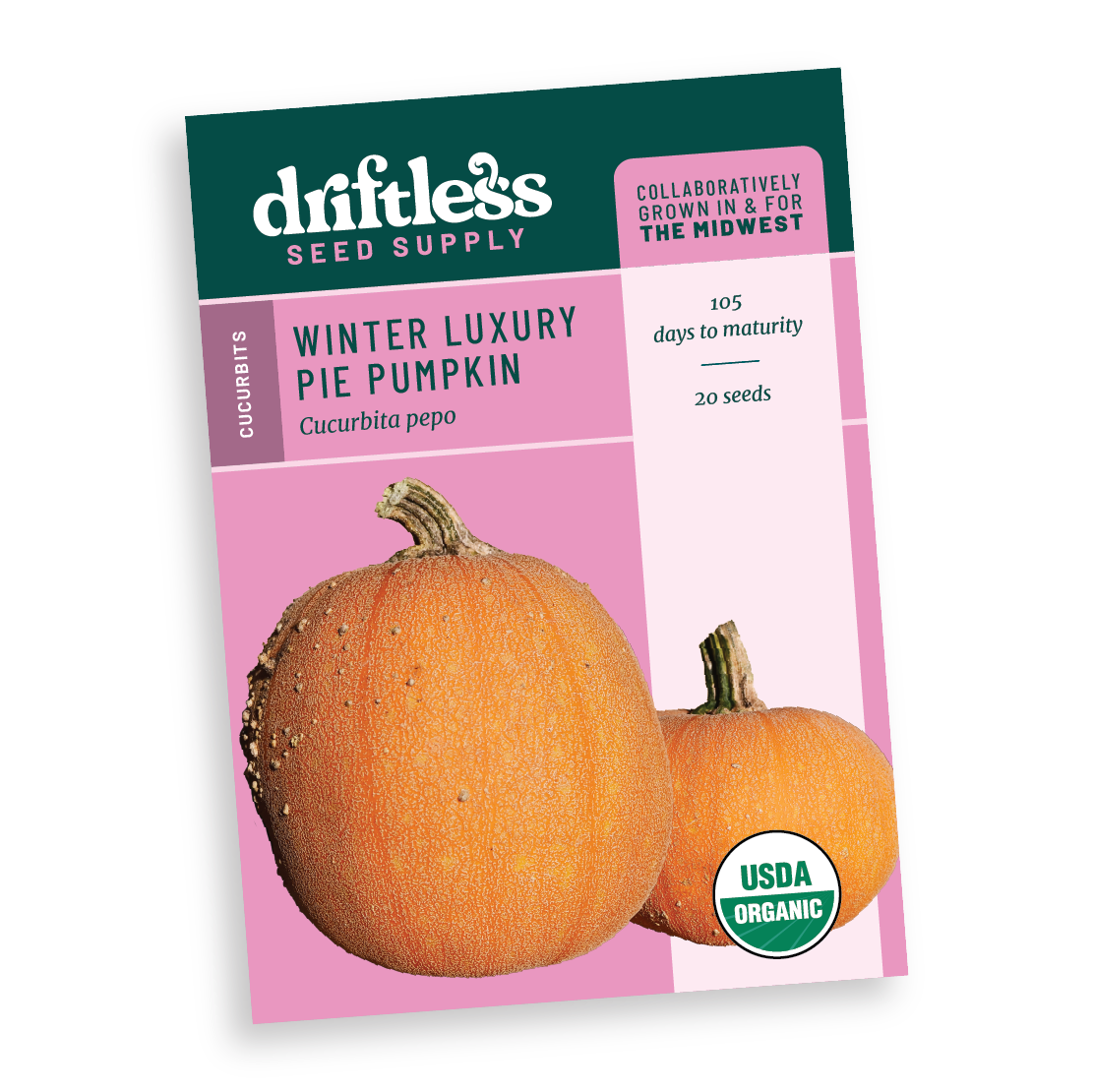 Winter Luxury Heirloom Pie Pumpkin
