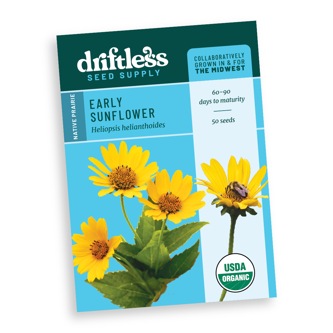Early Sunflower Native Prairie Forb - Organic