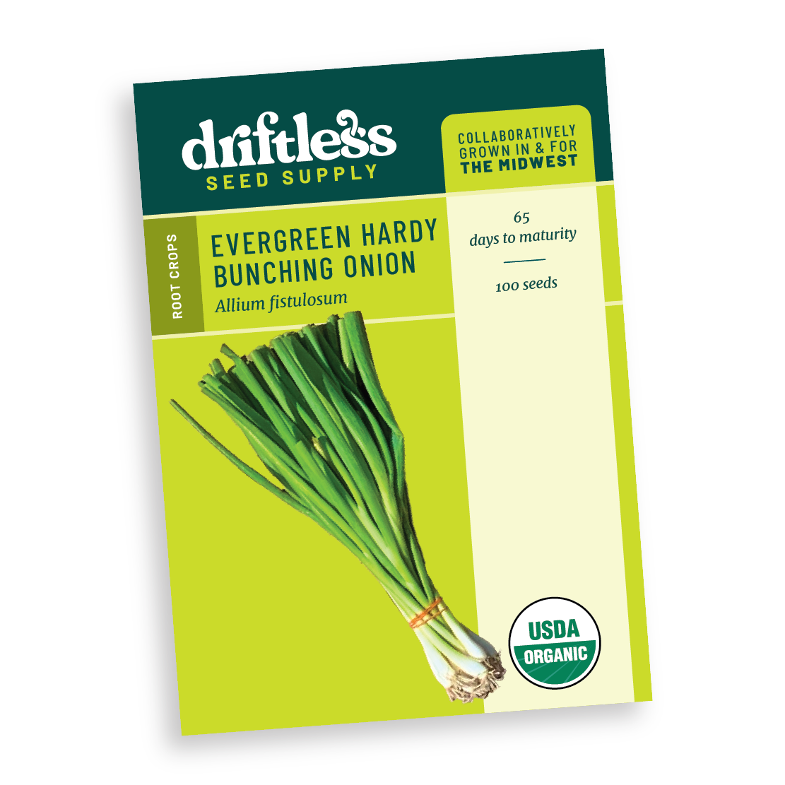 Evergreen Hardy Bunching Onion Scallion - Organic