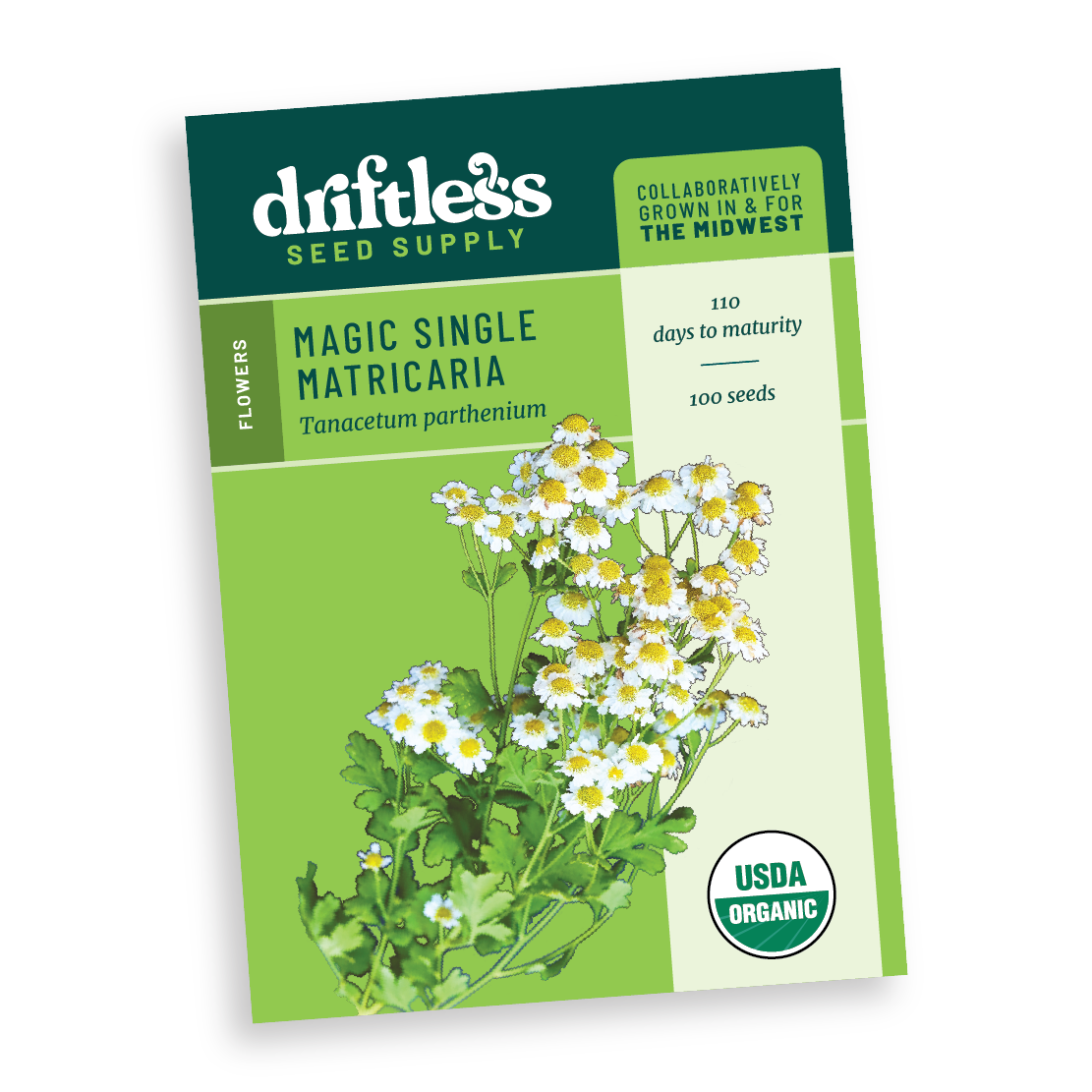 Magic Single Matricaria AKA Feverfew Cut Flower - Organic