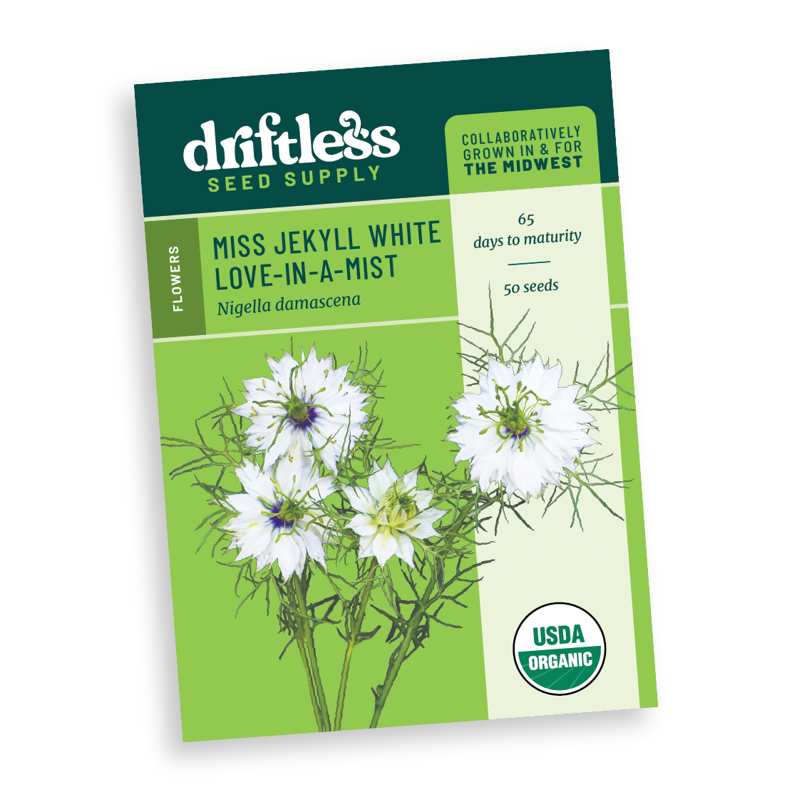 Miss Jekyll White Nigella AKA Love in a Mist