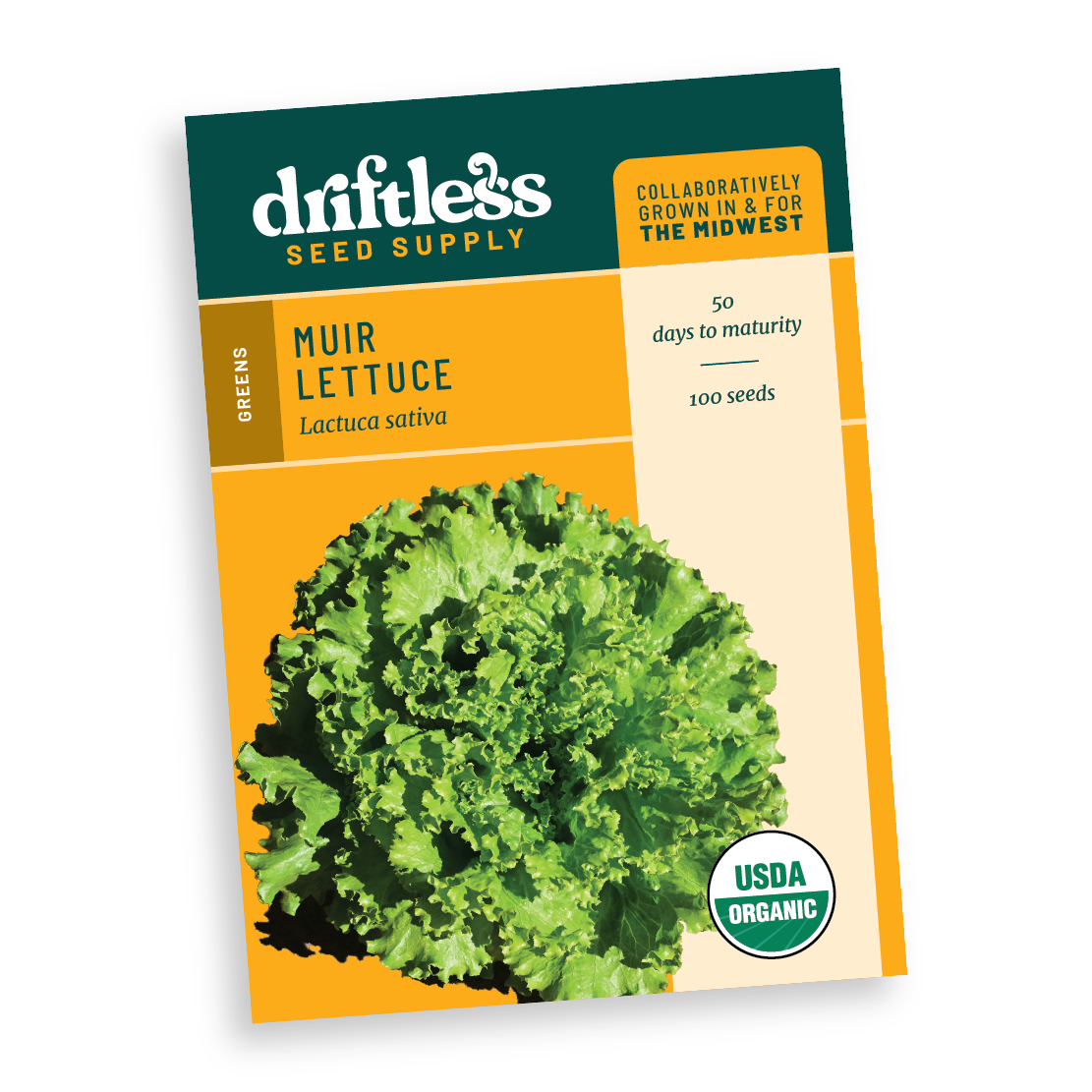 Muir Heat Tolerant Green Leaf Lettuce - Organic