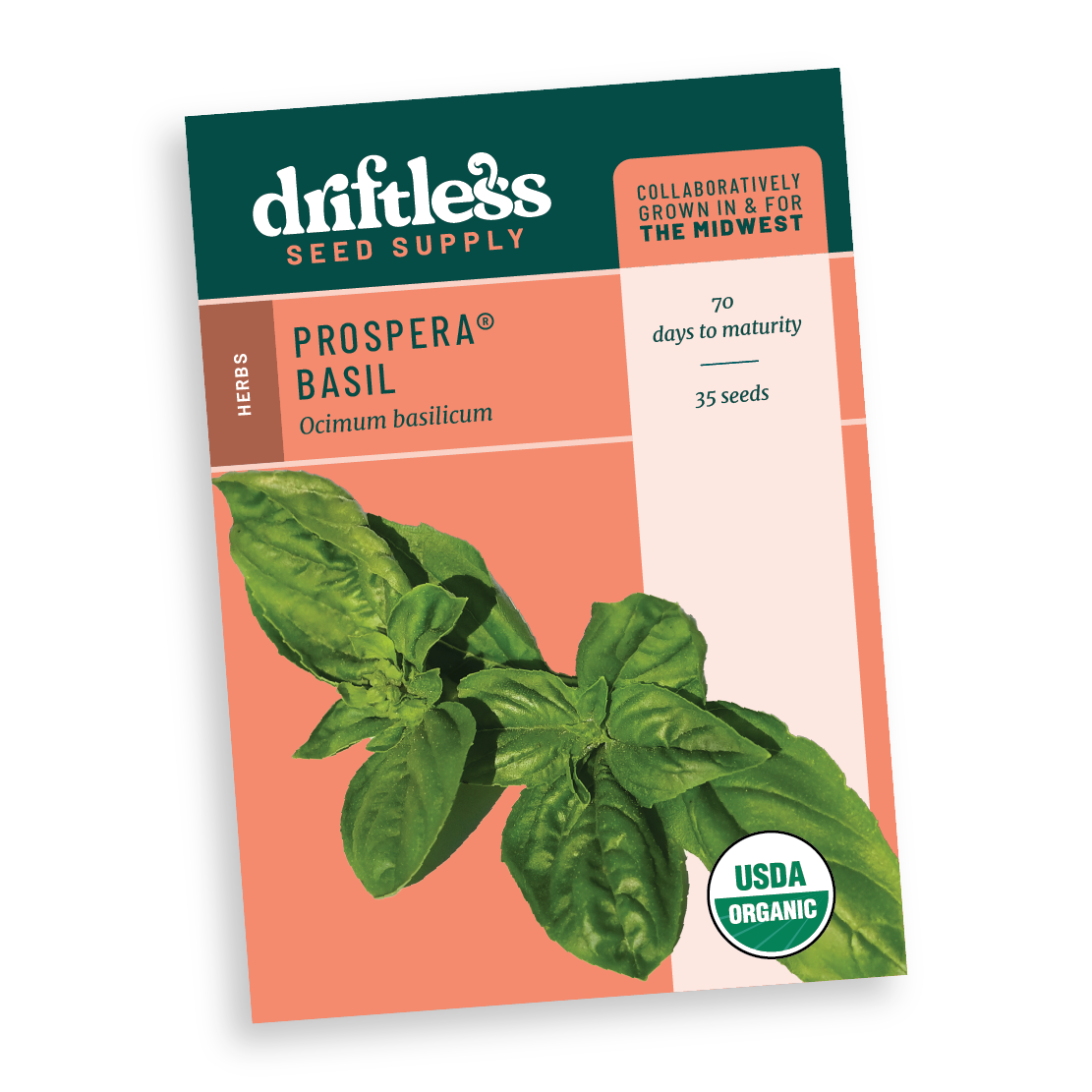 Packet of prospera sweet basil seed