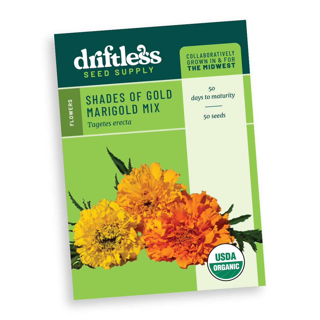Shades of Gold Yellow and Orange Marigold Mix