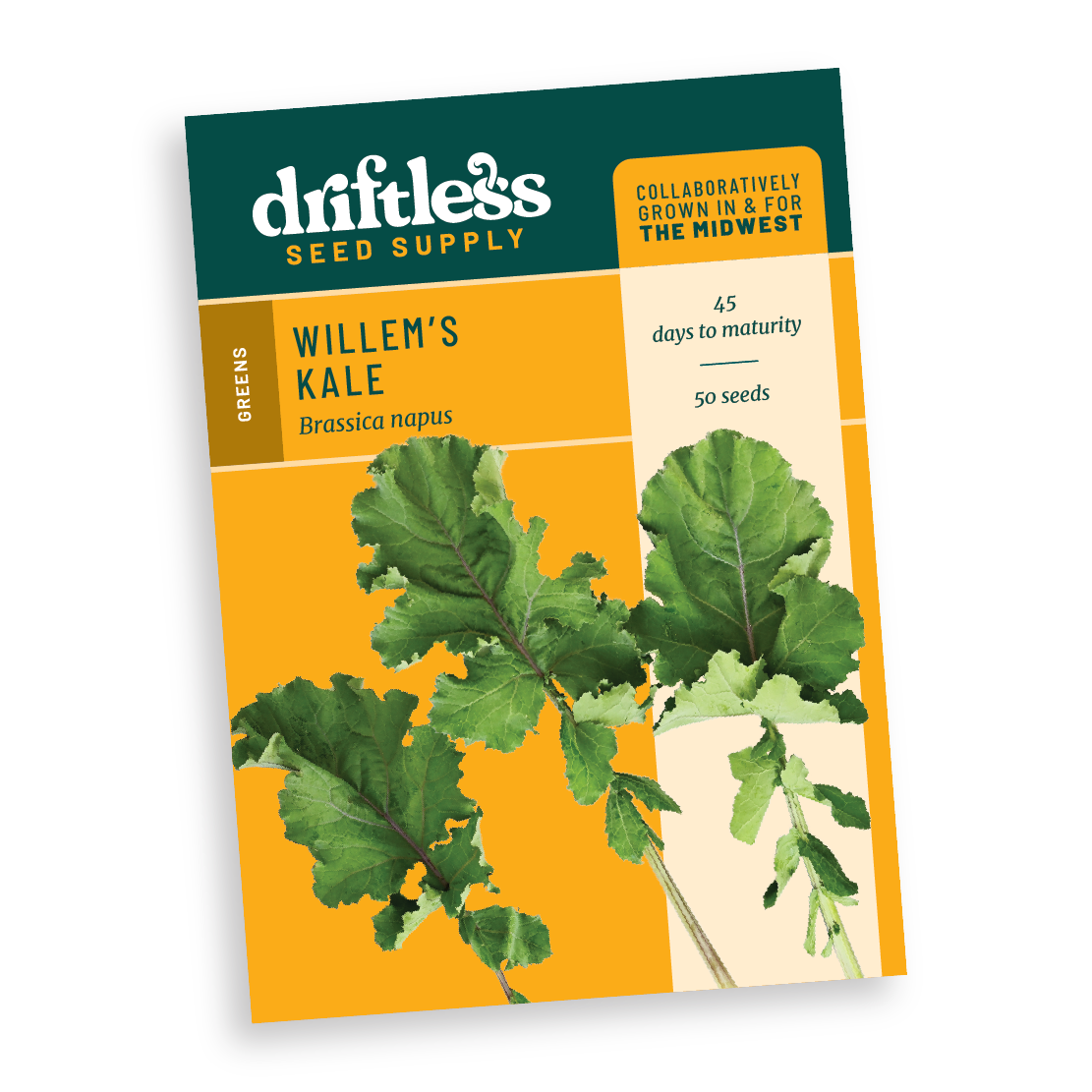 Willem's Broadleaf Kale