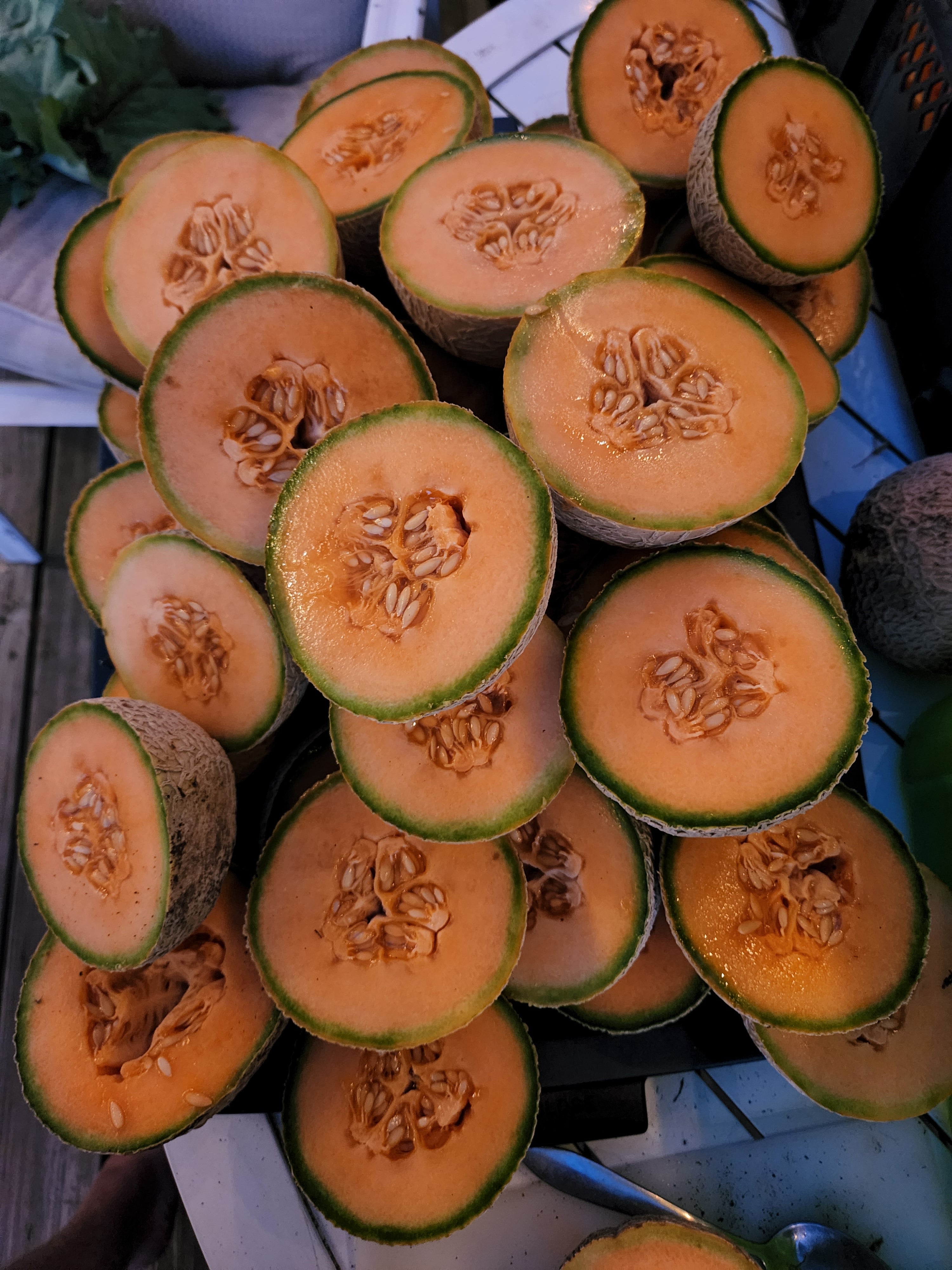 Granite State Heirloom Cantaloupe - Organic