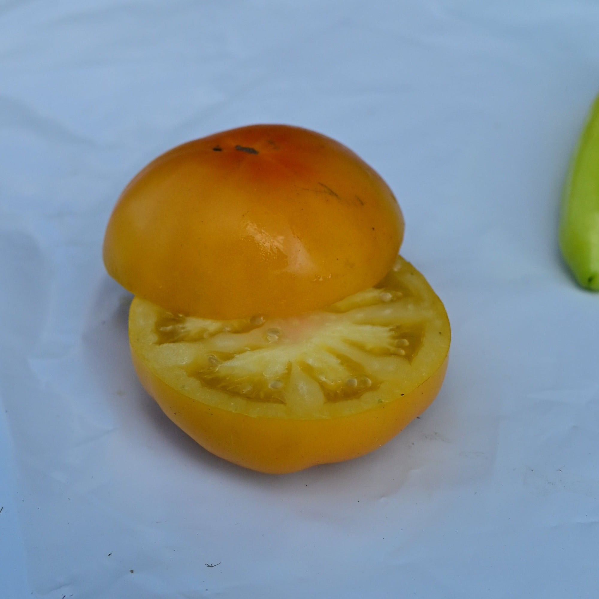 Azoychka Yellow Slicer Heirloom Tomato