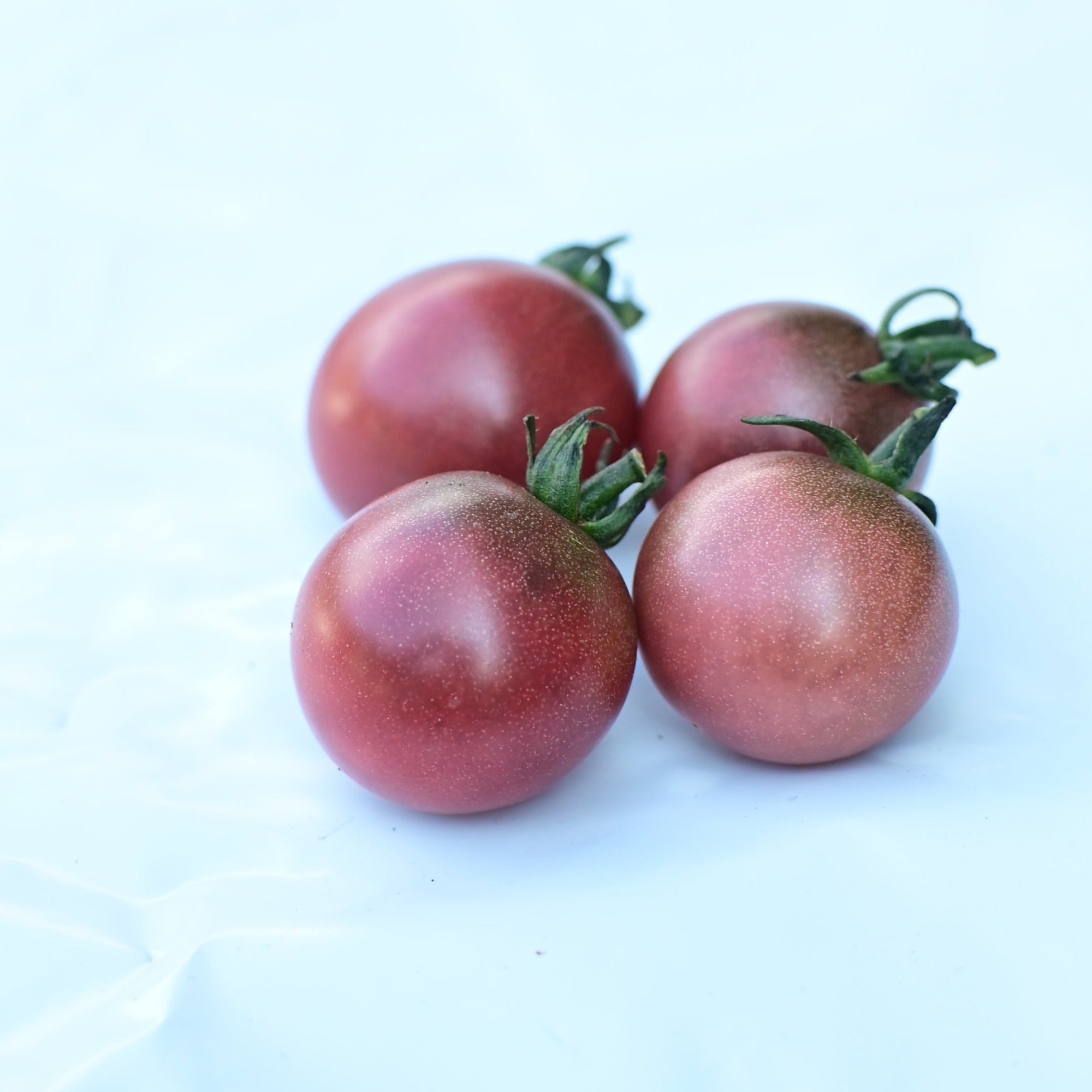 Black Cherry Tomato Improved