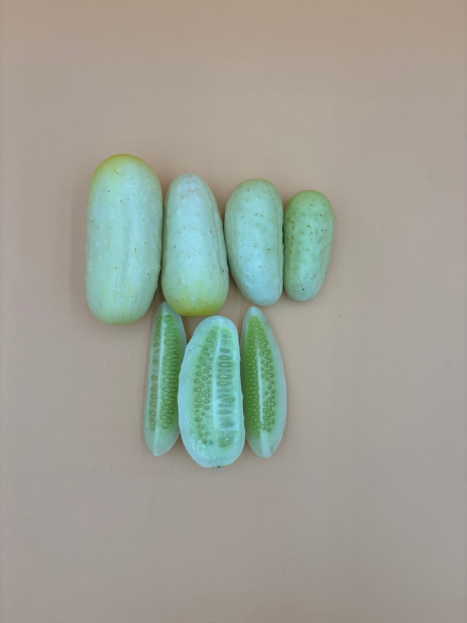 Boothby's Blonde Heirloom Organic Pickling Cucumber