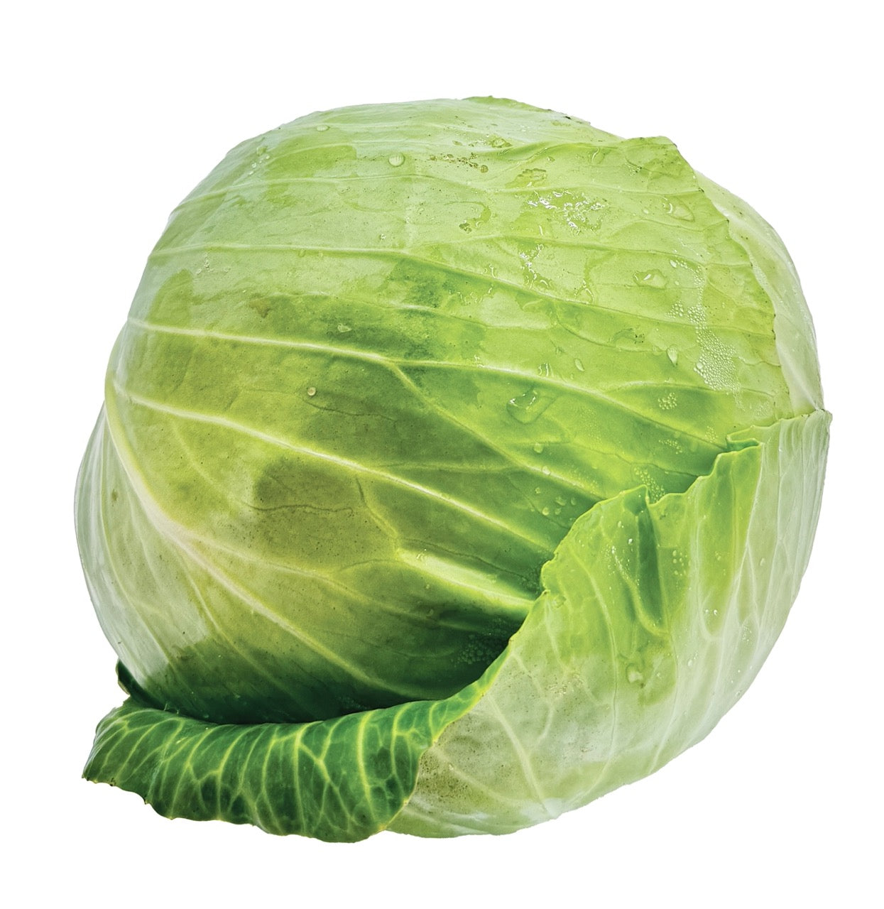 Dottenfelder Green Sauerkraut Storage Cabbage - Organic