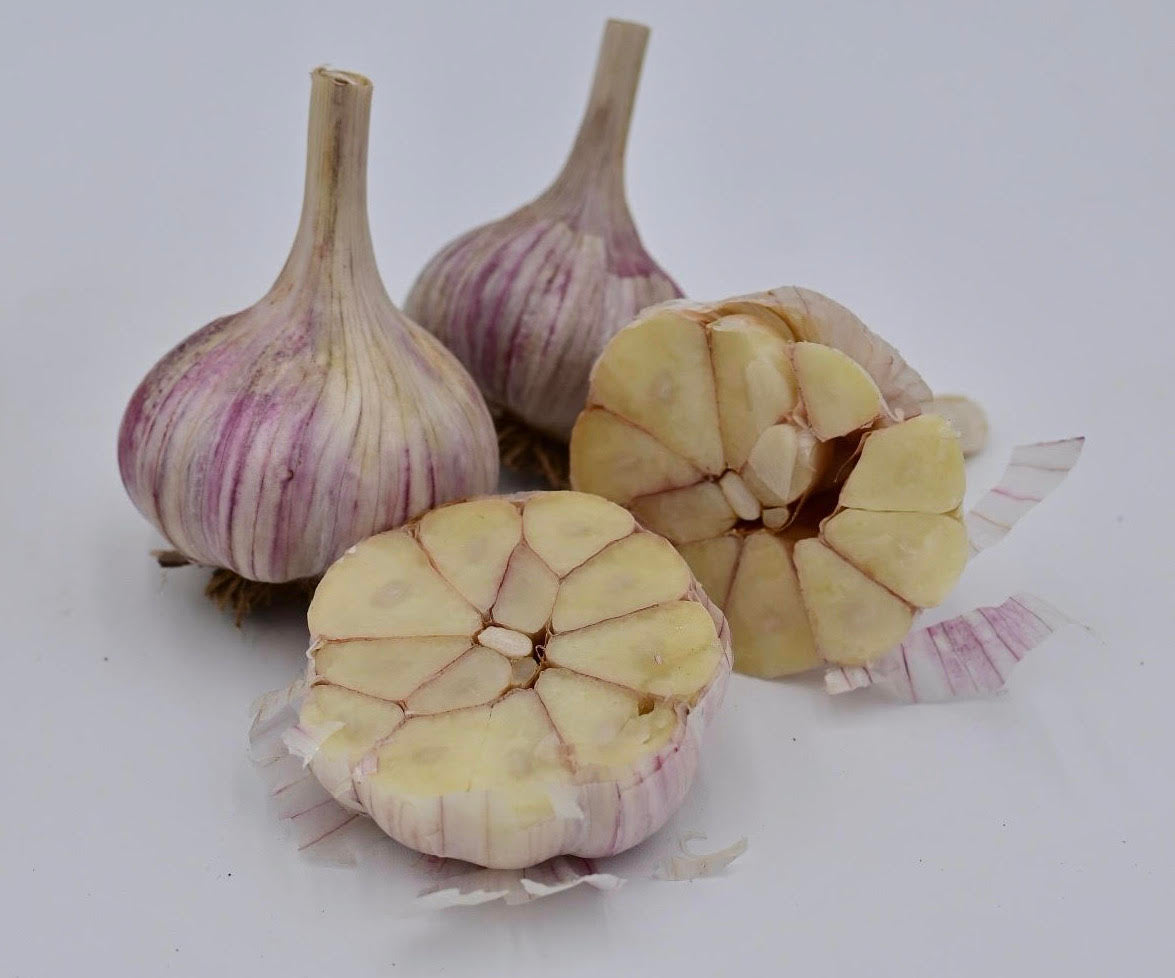 Chesnok Red Striped Organic Garlic
