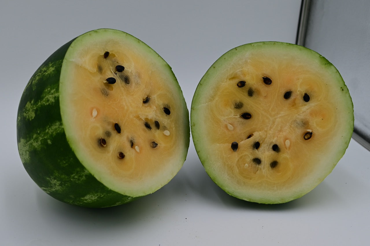 Mountain Sweet Yellow Heirloom Watermelon - Organic