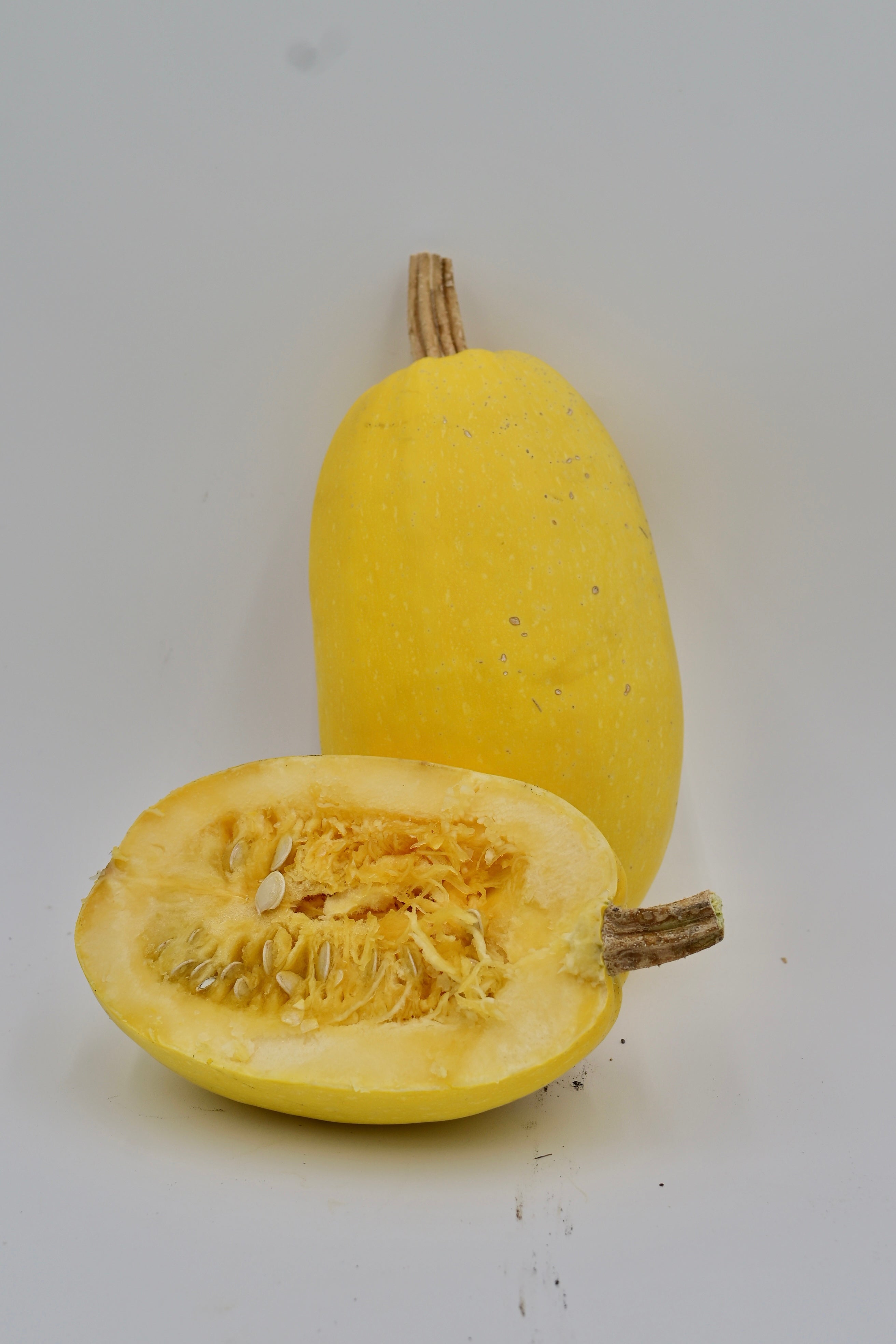 Spaghetti Squash Heirloom Winter Squash - Organic