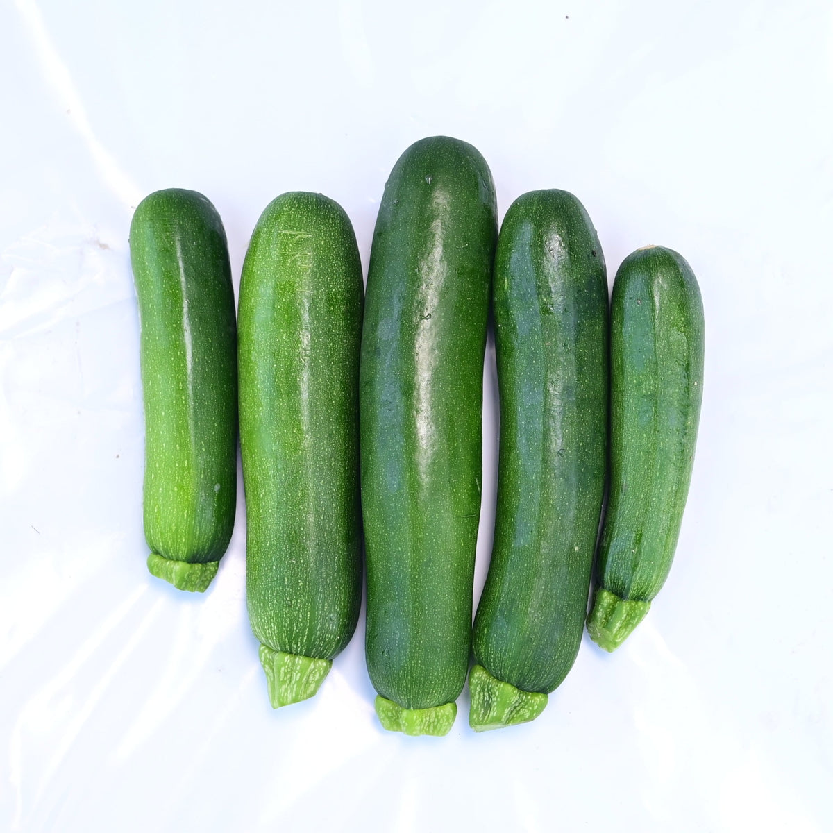 Dark Star Green Zucchini Seeds