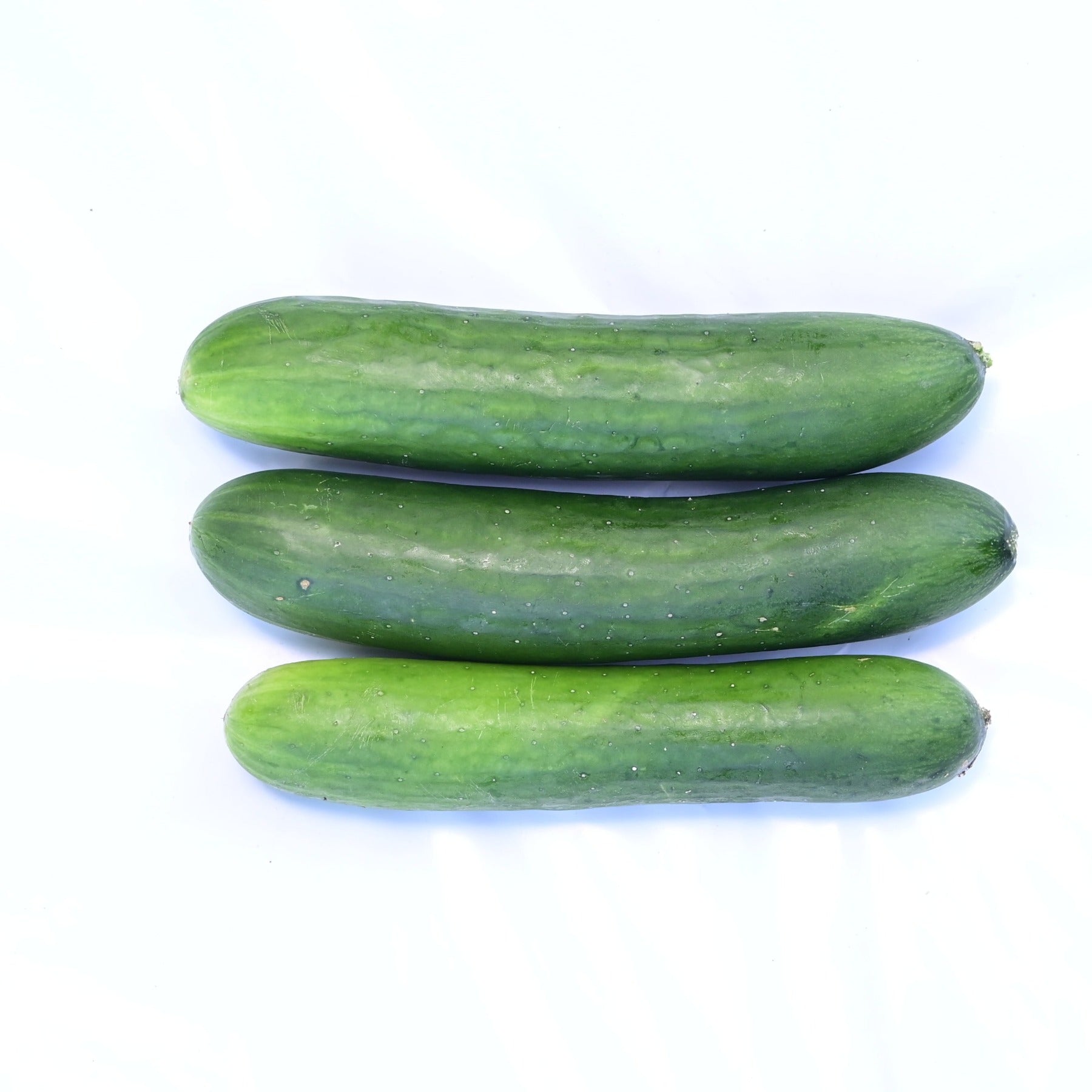 Green Finger Cucumber after harvest displayed against a white background